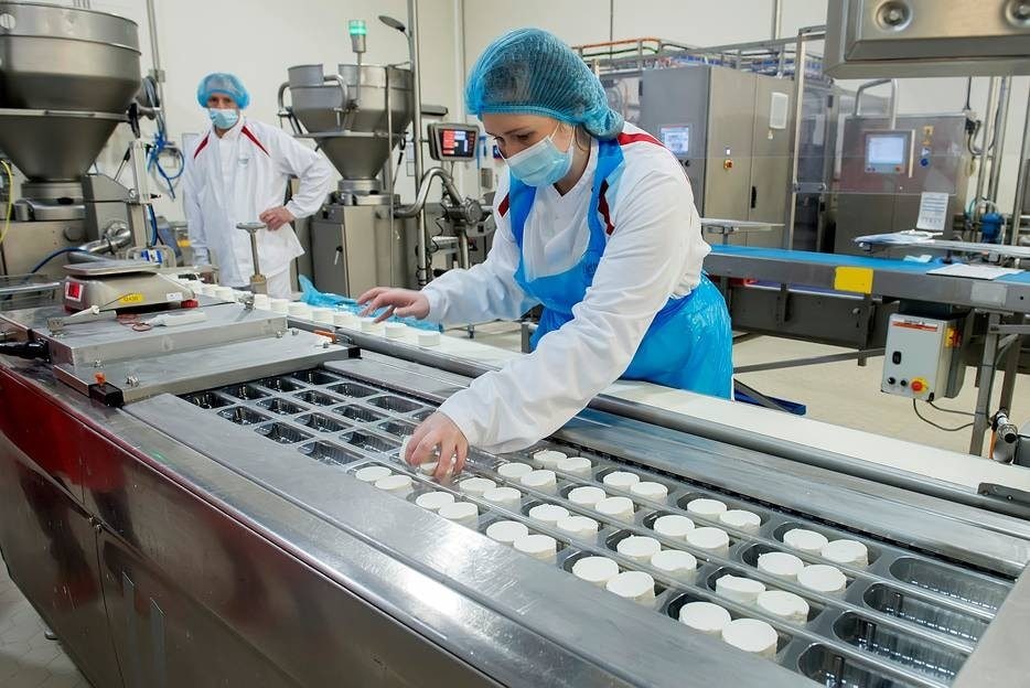 Het bedrijf Bettinehoeve, fabrikant van geitenkaas. De verpakkingsafdeling van de kaasjes. Foto: Pix4Profs-Ron Magielse.
