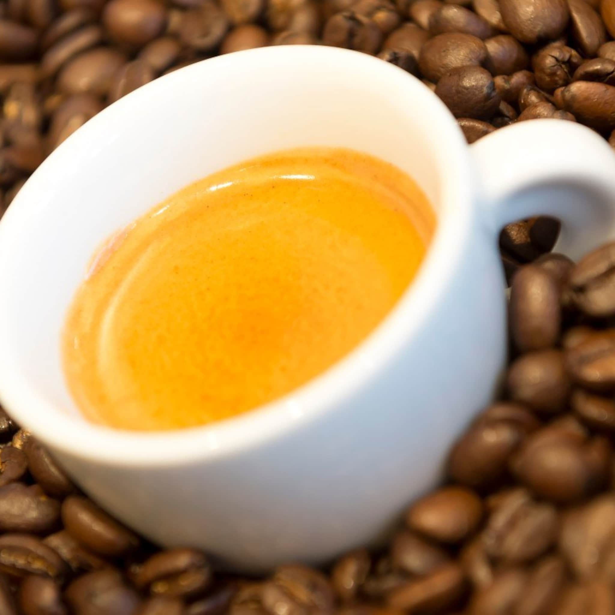 bakkie troost koffiespeciaalzaken profiteren van thuiswerken