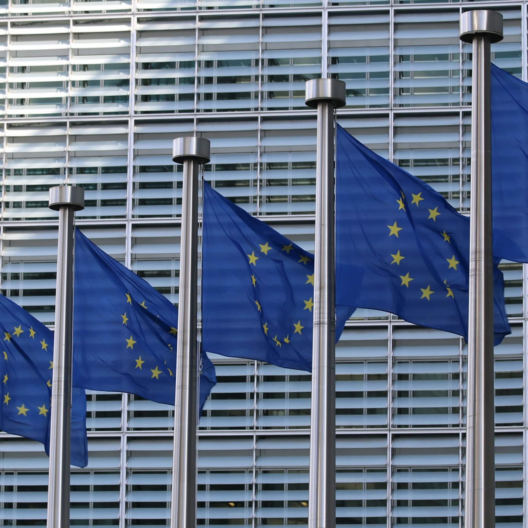 dutch startup association vreest dat startups en scale ups dupe worden van europese regelgeving