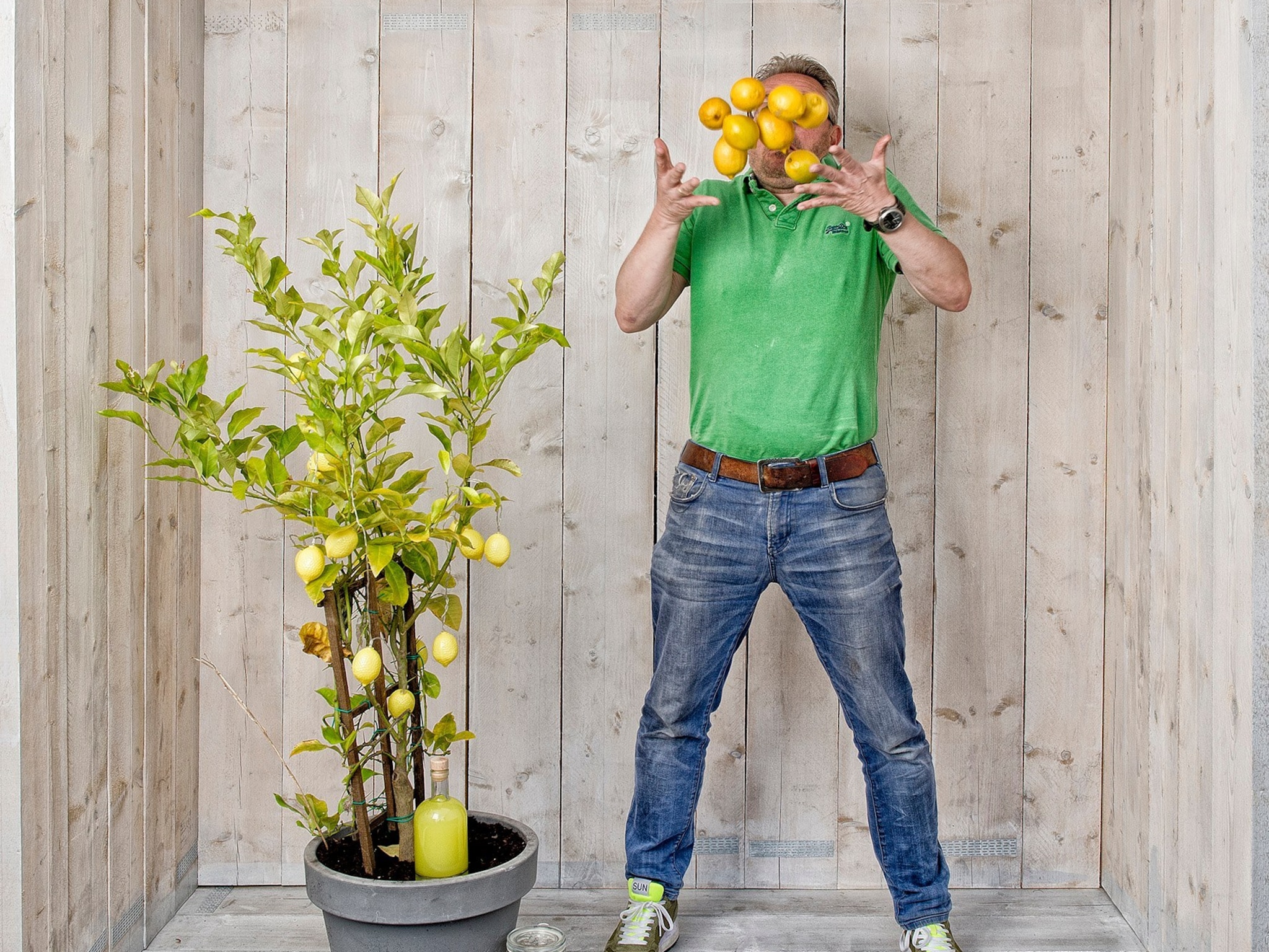 hoe crisis ivar camps een kans biedt om limoncello op de markt te brengen