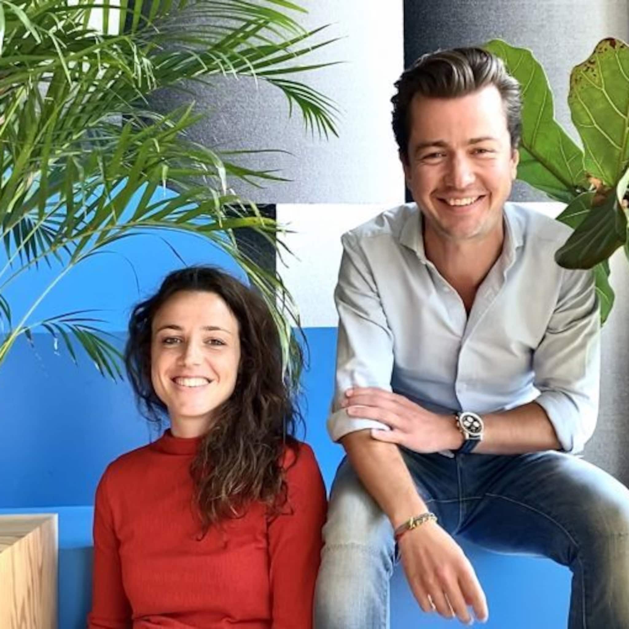 co2 uitstoot compenseren met een geldboom het concept van startup corekees
