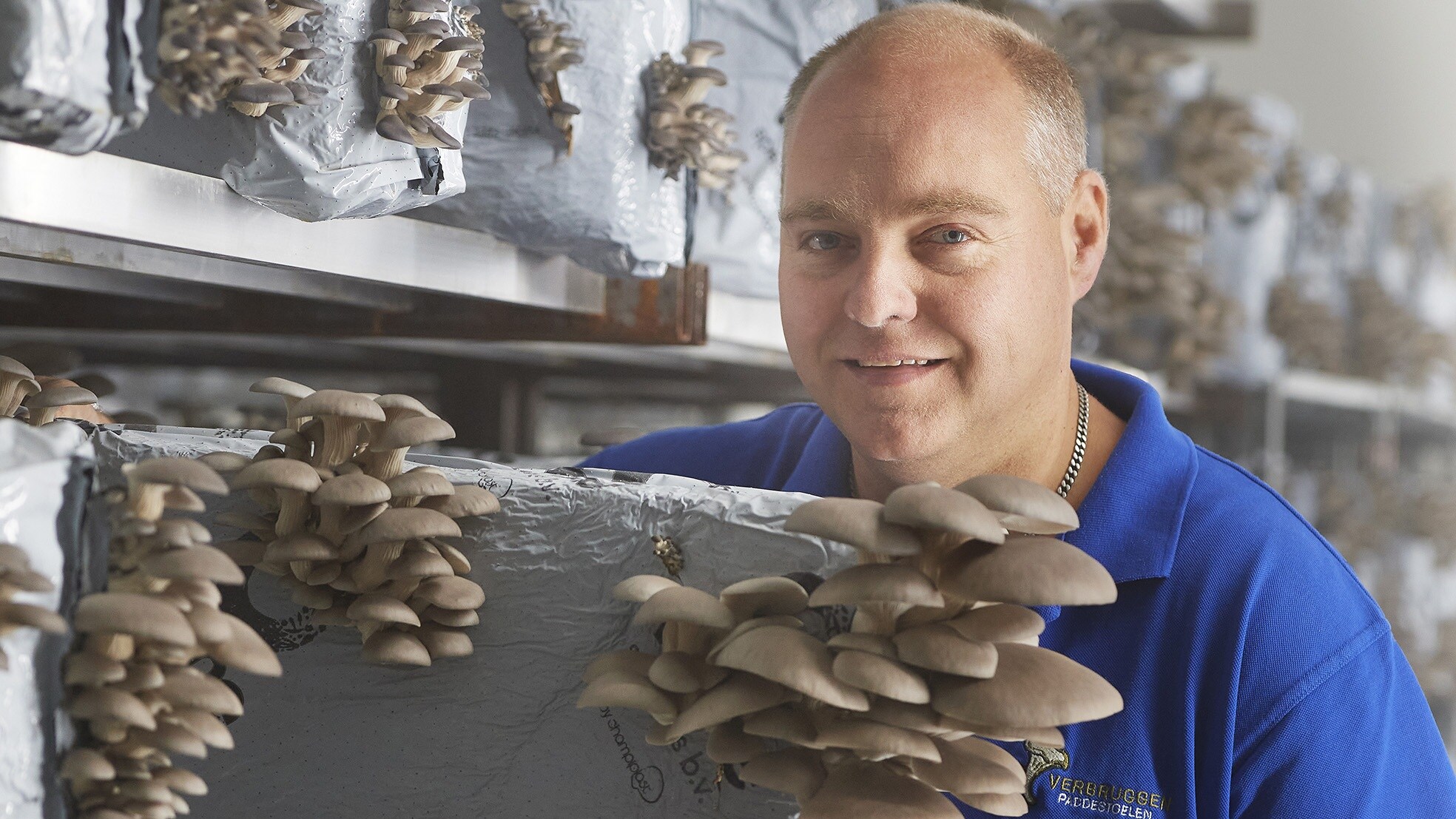 beeld deondernemer