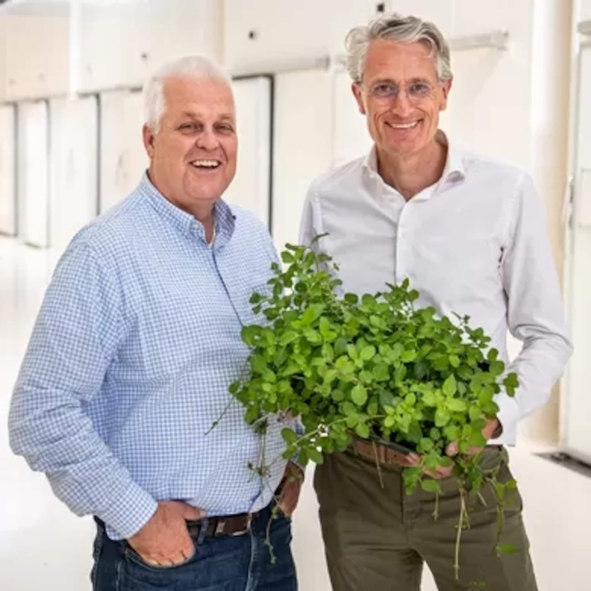 plantlab wil tuinbouwrevolutie en kweekt groenten in een gebouw in de stad