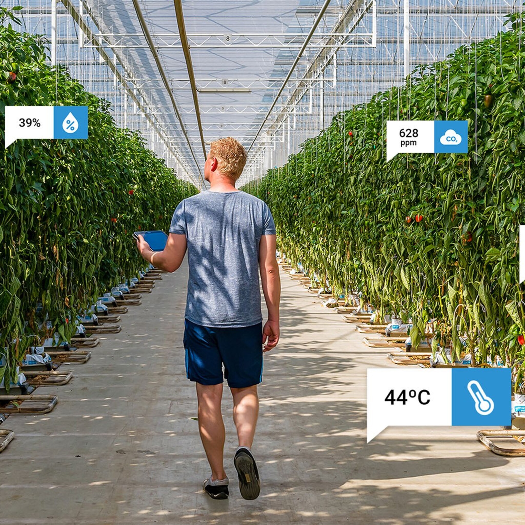 hoe technologie tuinders gaat helpen om hun groente op afstand te telen