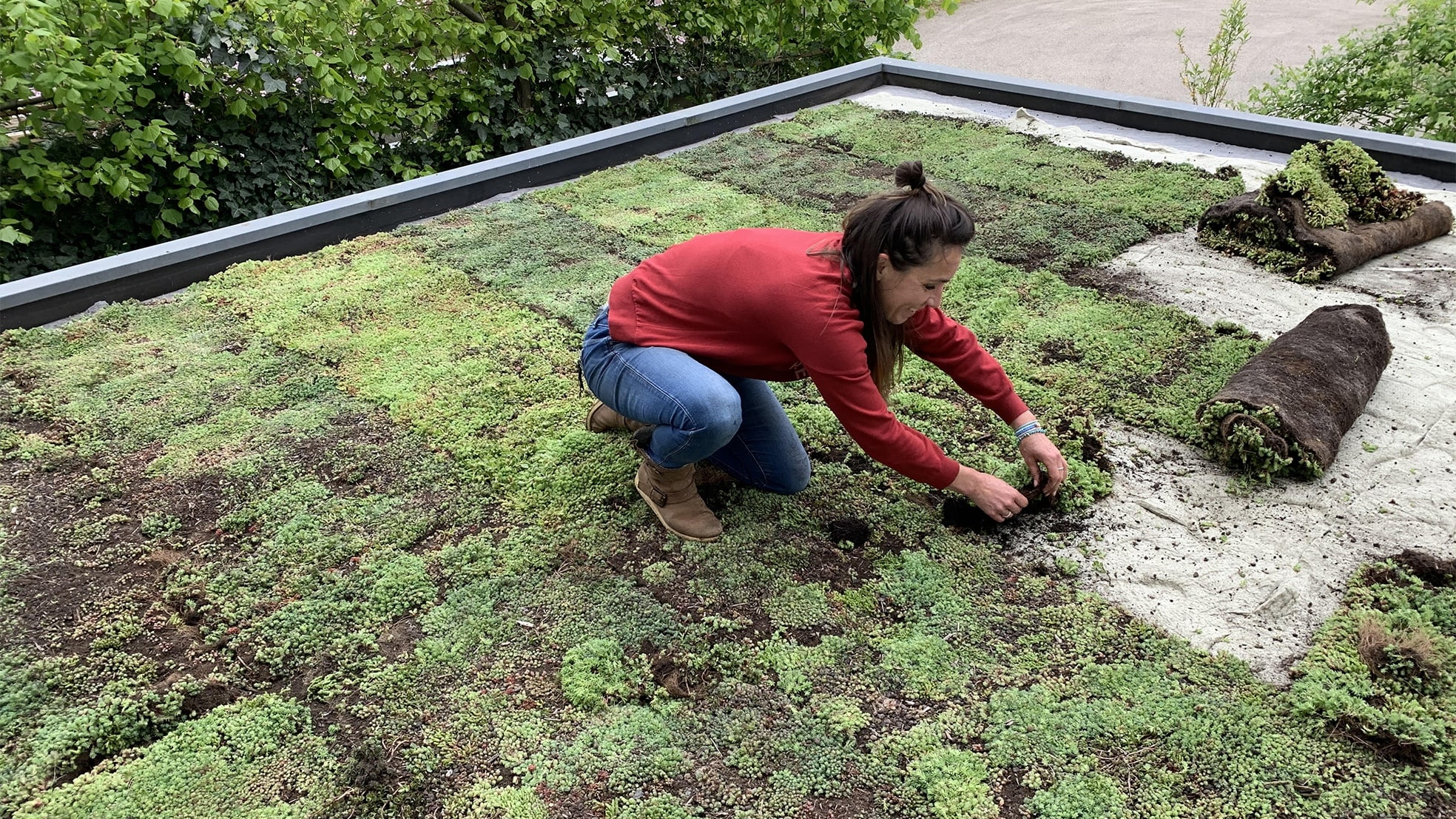 Tamara van Dijk actief op een groen dak. Foto: Het Groene Loket