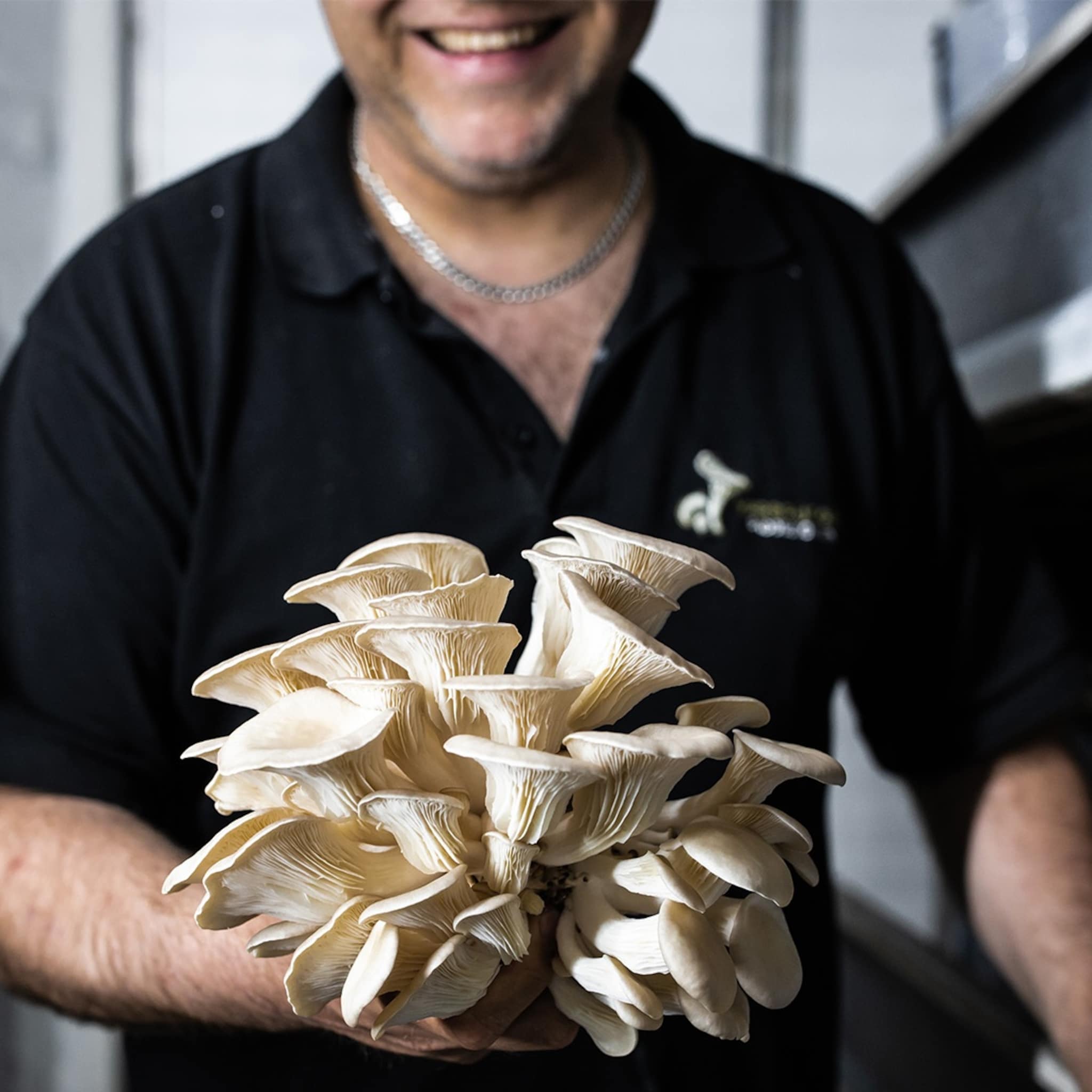 corona hulp kweker overtollige horeca oesterzwammen naar consument
