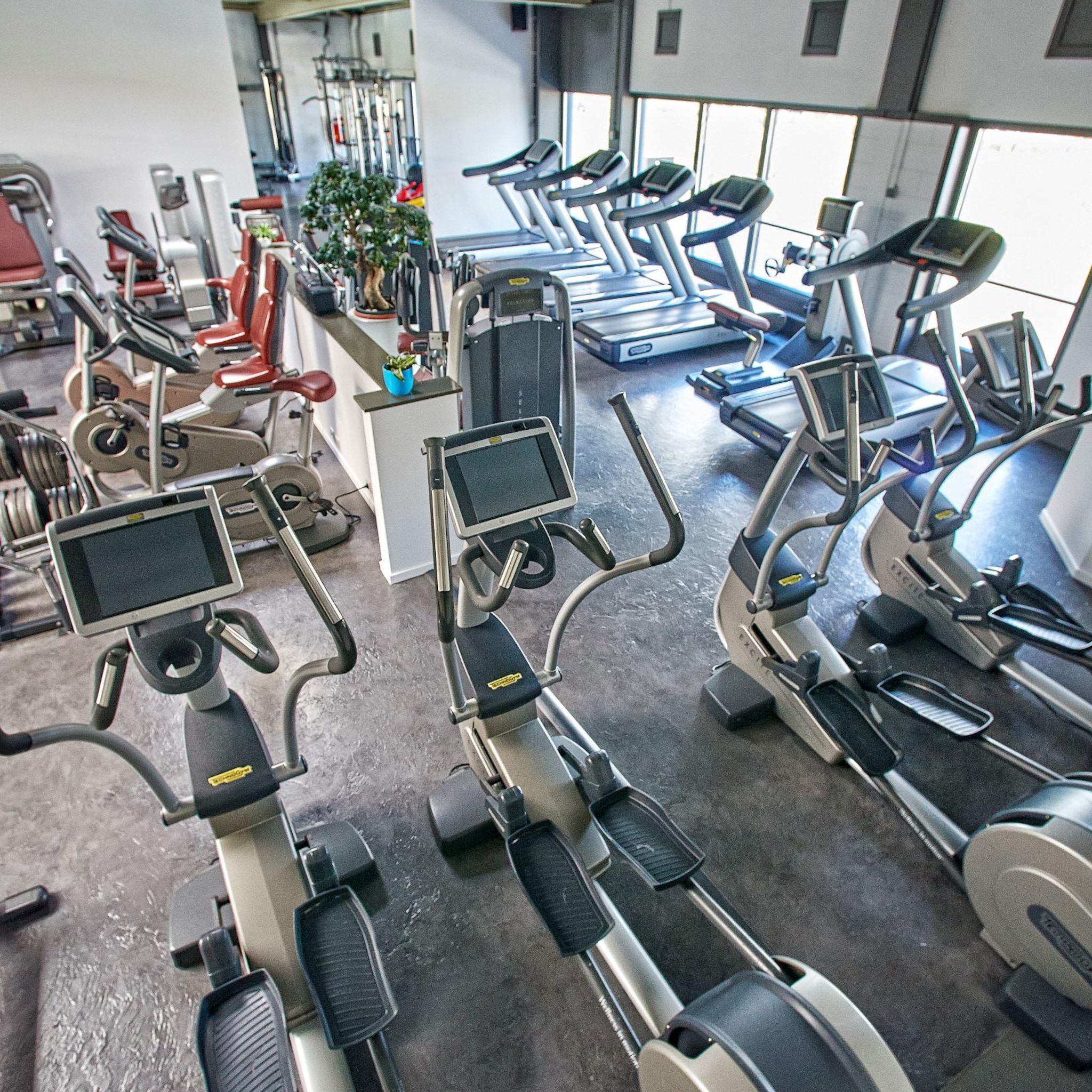 voorzitter exclusieve sportcentra over sluiting tot 1 september lot van de branche is bezegeld