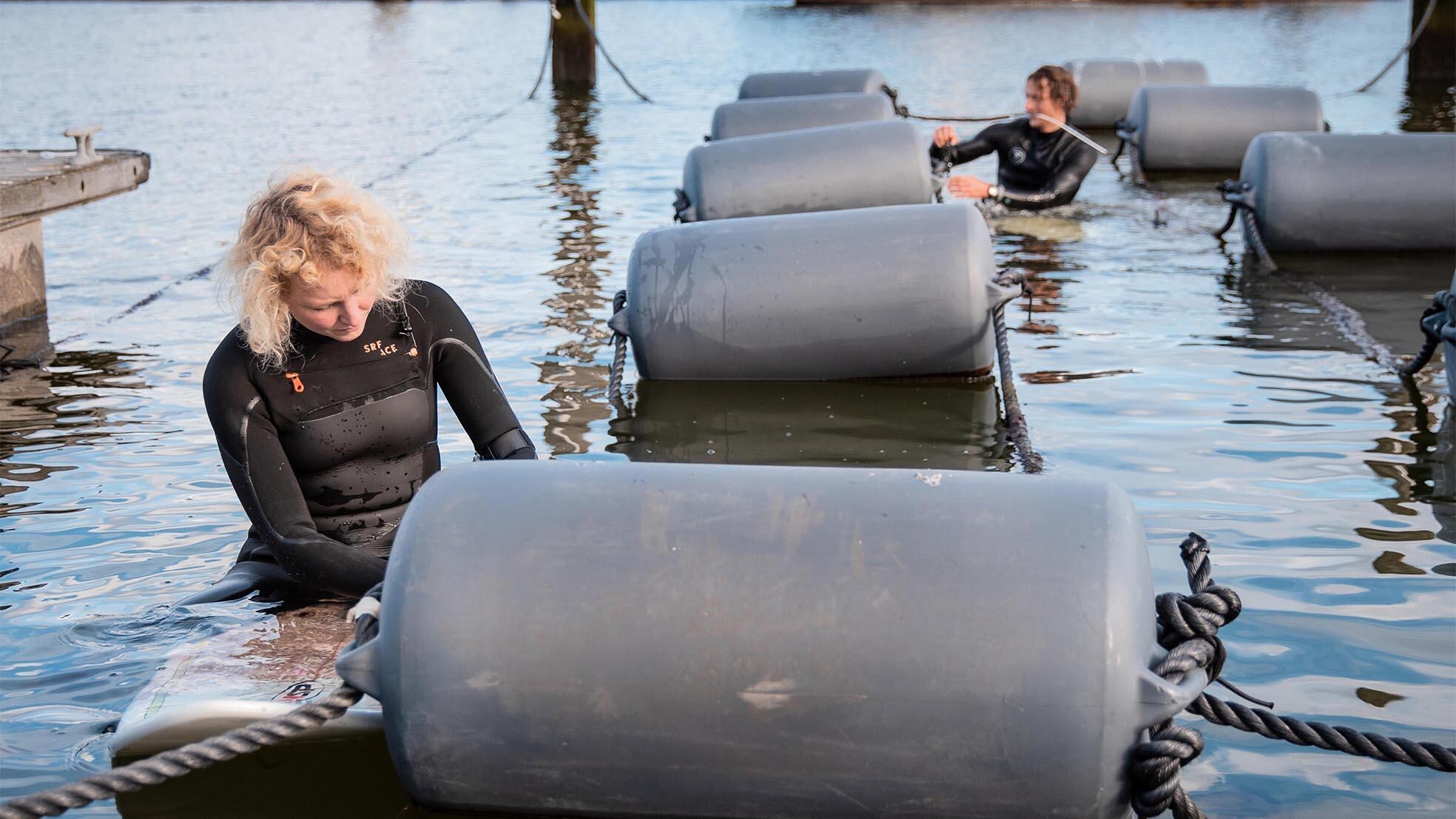 Seaweed Farmers Nikki Spil en Sjoerd Laarhoven aan het werk. Foto: Moceanblue Marco Vet.