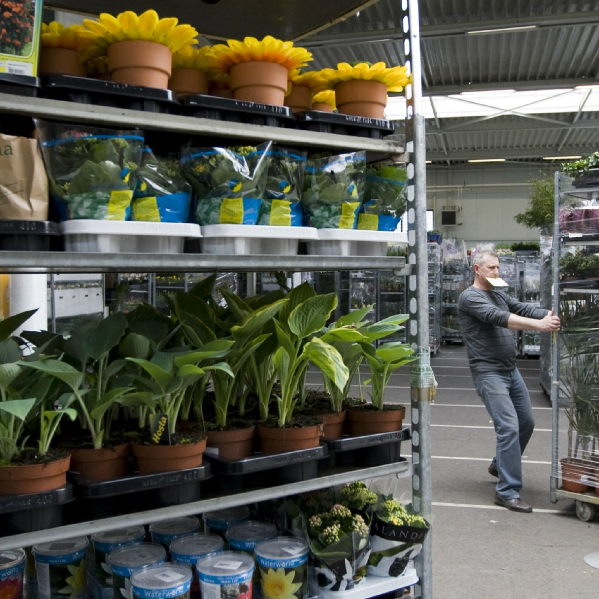 pakket van 650 miljoen voor bloementelers en patatboeren
