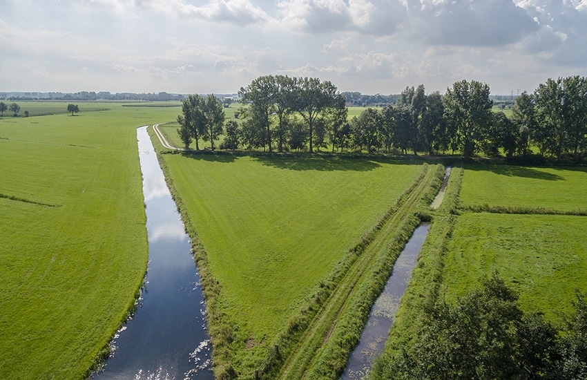 beeld deondernemer