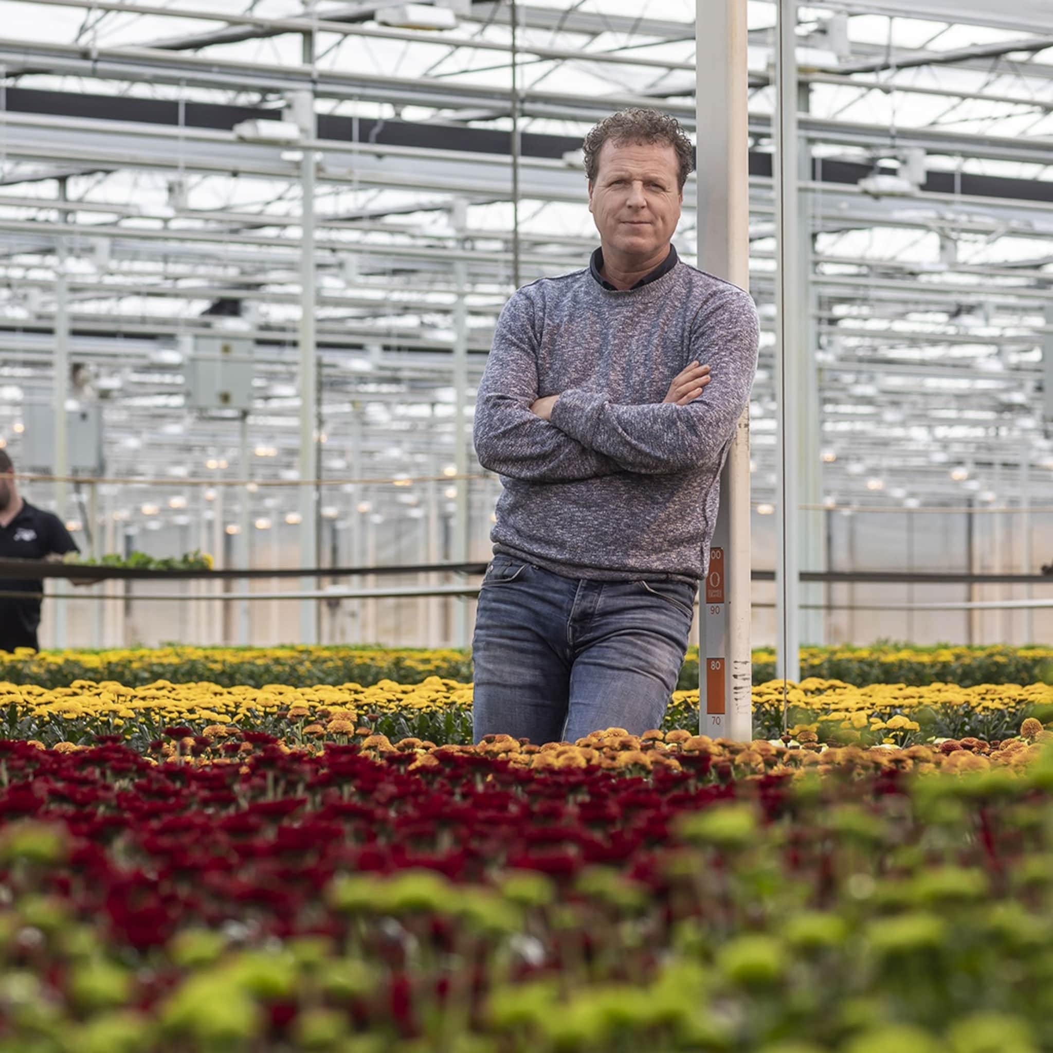 hoe glas en tuinbouwers nu moeten dealen met coronacrisis en brexit