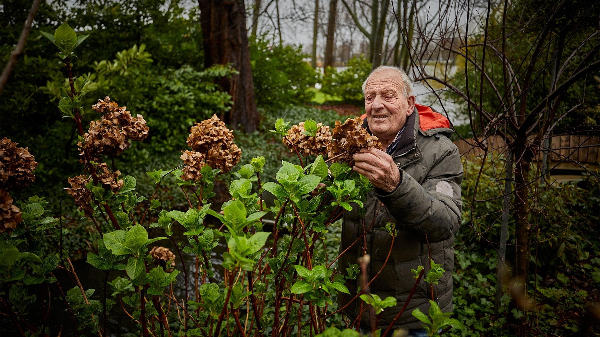 Piet Janssen aan het werk. Spitten en bestraten doet hij niet meer, snoeien nog wel. Foto: Jan de Groen