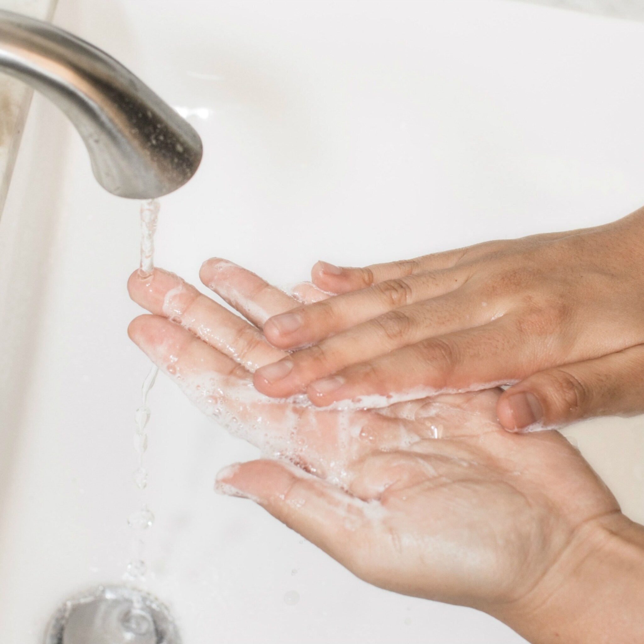 coronavirus picnic stelt aankooplimiet hygienische producten