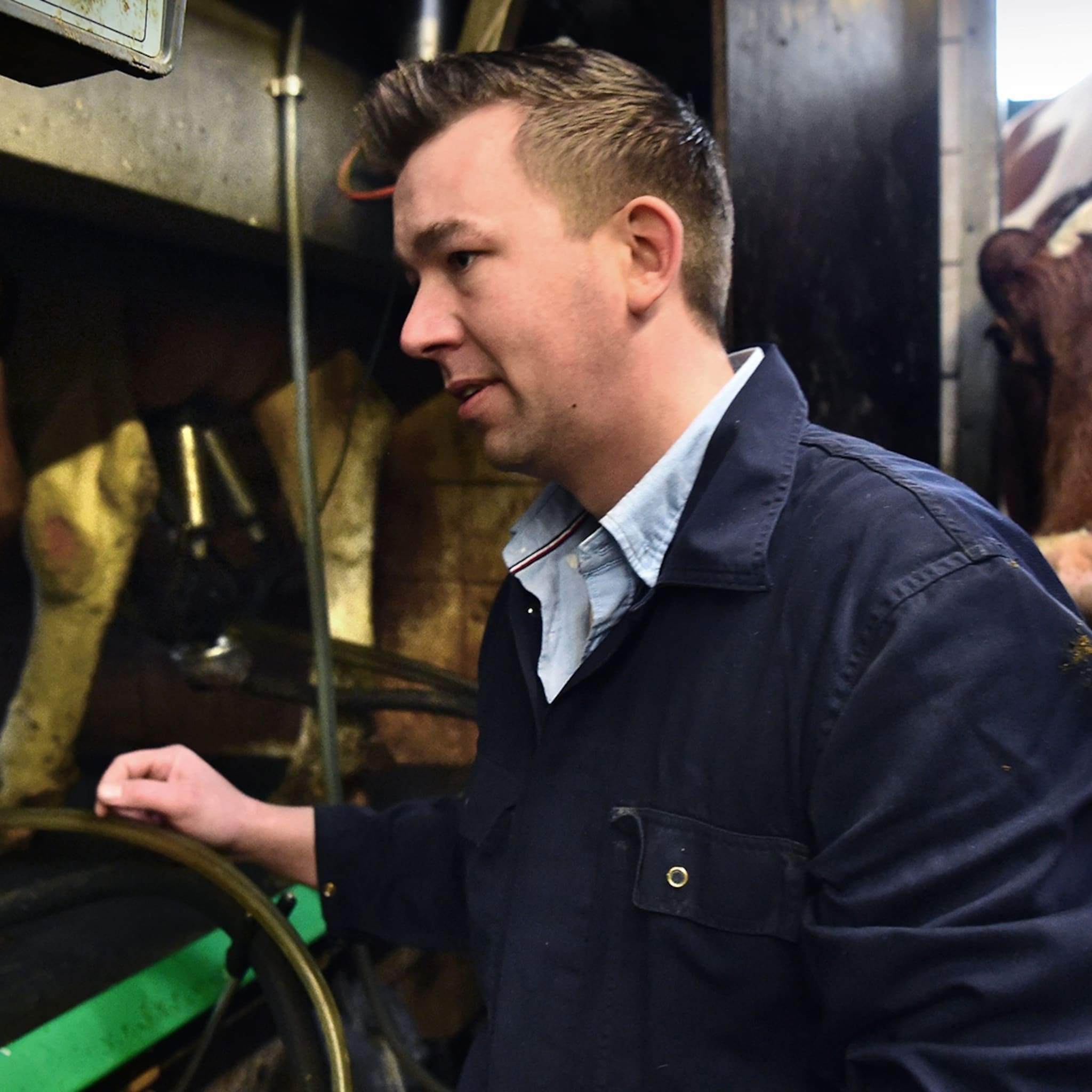 de weg naar een betere prijs maak kennis met buurtsuperboer joris cremers