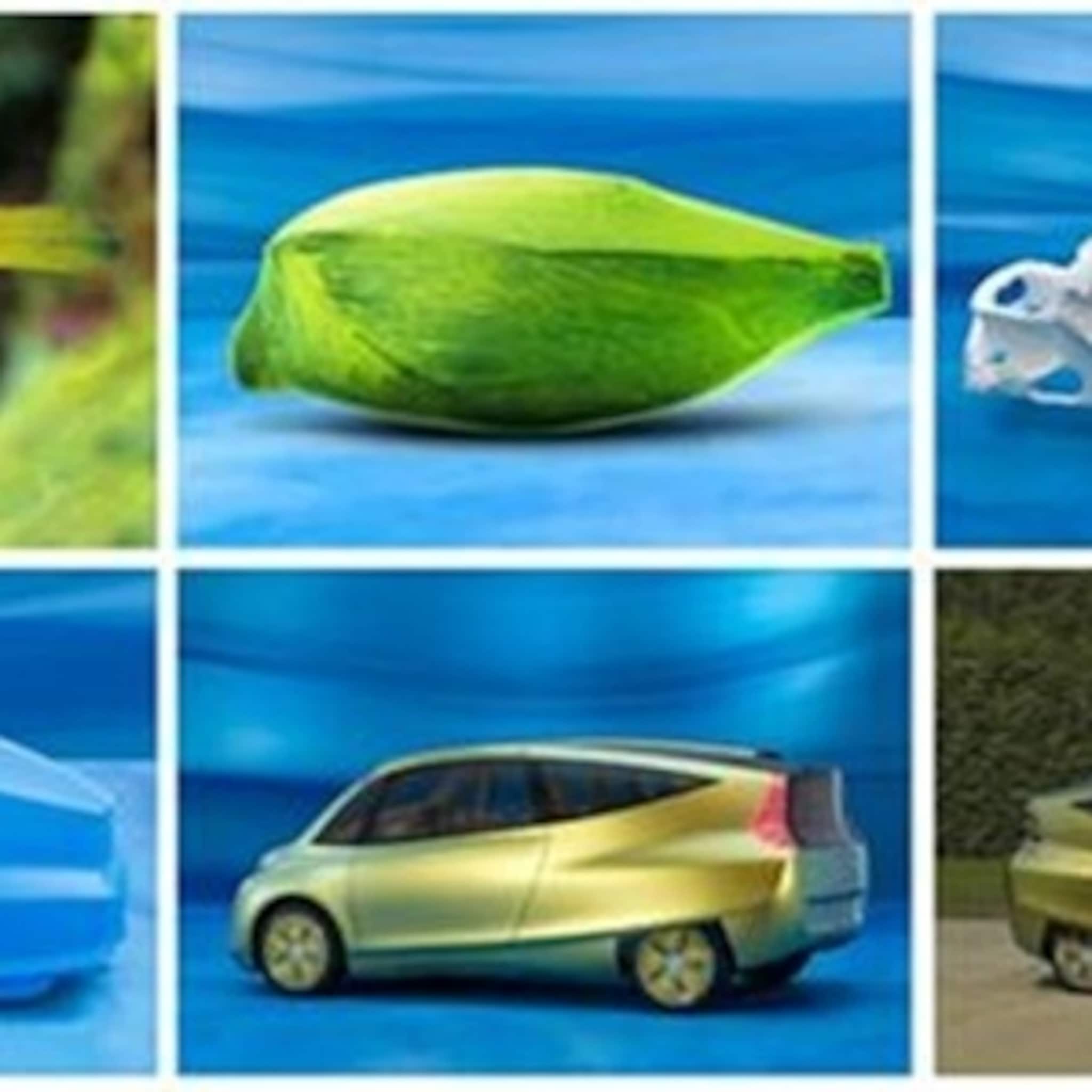 bakkie media biomimicry de trend van morgen
