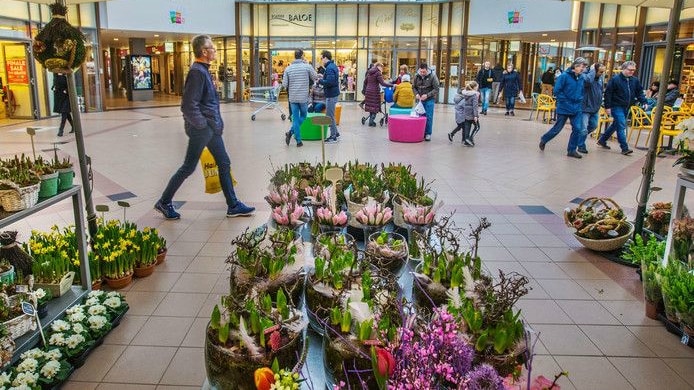 Onder meer winkelcentrum Rokkeveen in Zoetermeer doet het goed als wijkwinkelcentrum. Foto: AD/Frank Jansen.