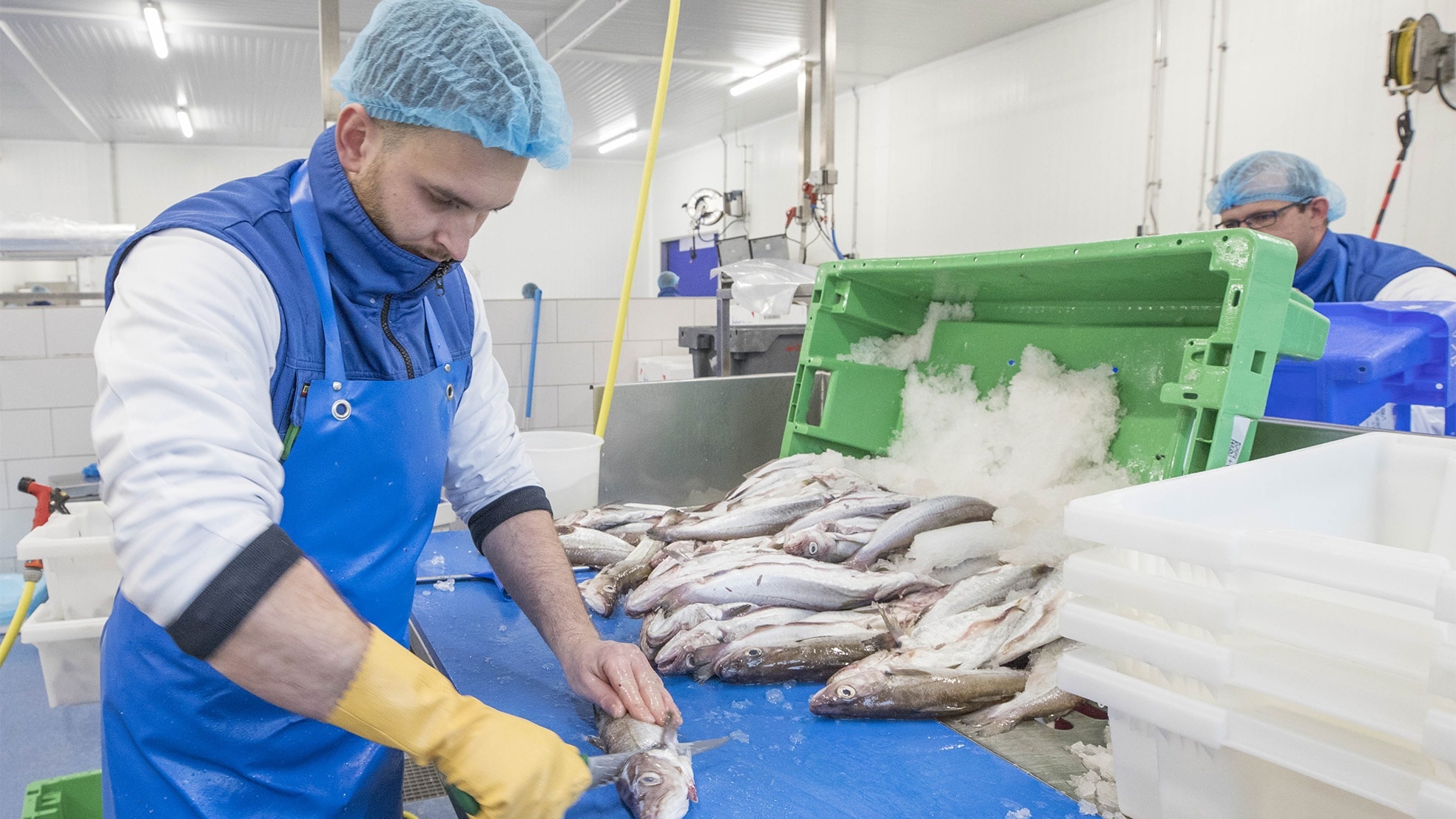 De visindustrie heeft de hoofdrol in het Zeeuwse Yerseke. (Foto: Johan van der Heijden)