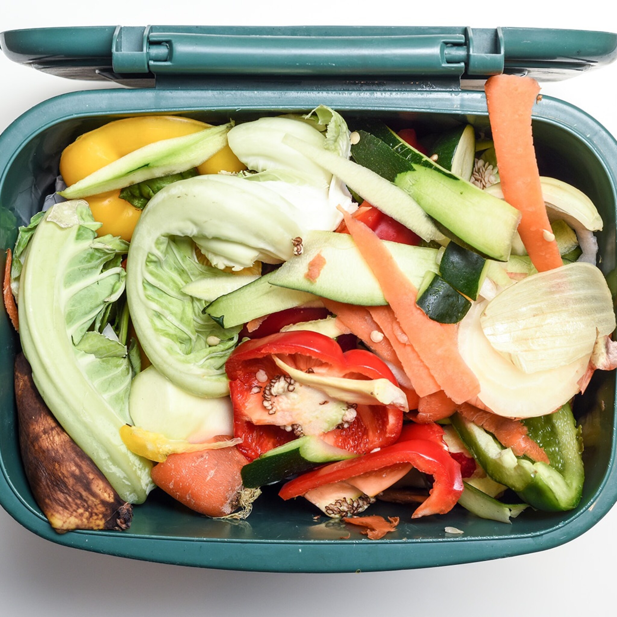 start up wasteless gaat strijd aan tegen verspilling voedsel slim afprijzen