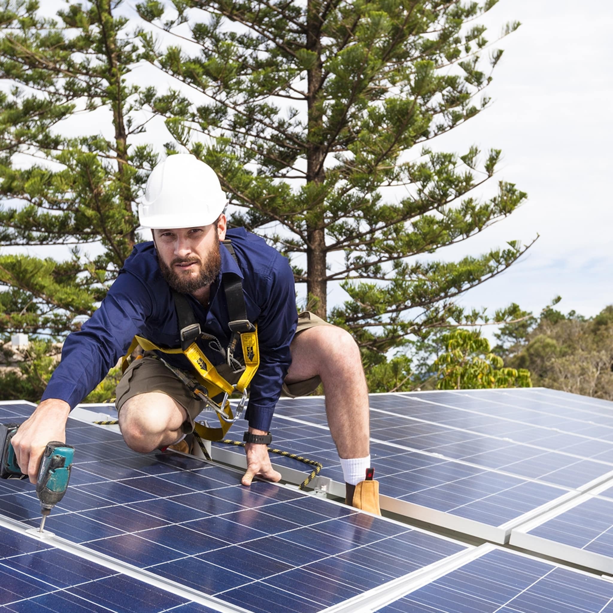 aanvragen subsidie zonnepanelen voor kleinere bedrijven wordt eenvoudiger