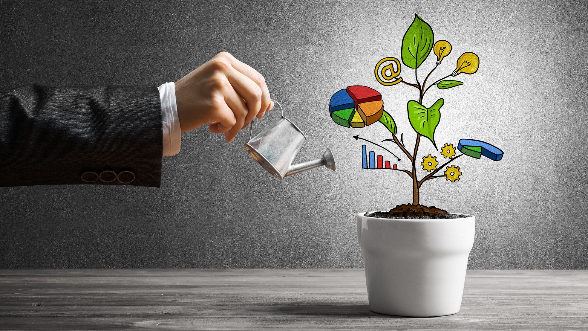 Het aantal start-ups dat doorgroeit tot een snelgroeiend bedrijf is voor het eerst sinds jaren afgenomen. (Beeld: Shutterstock)