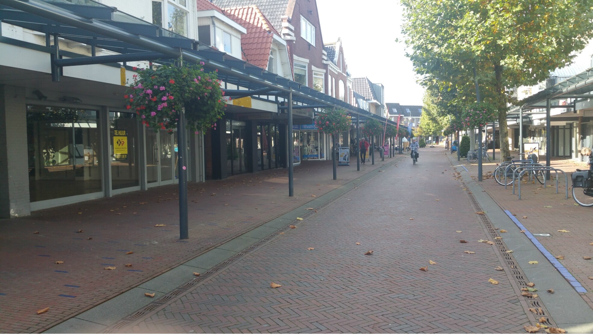 beeld deondernemer