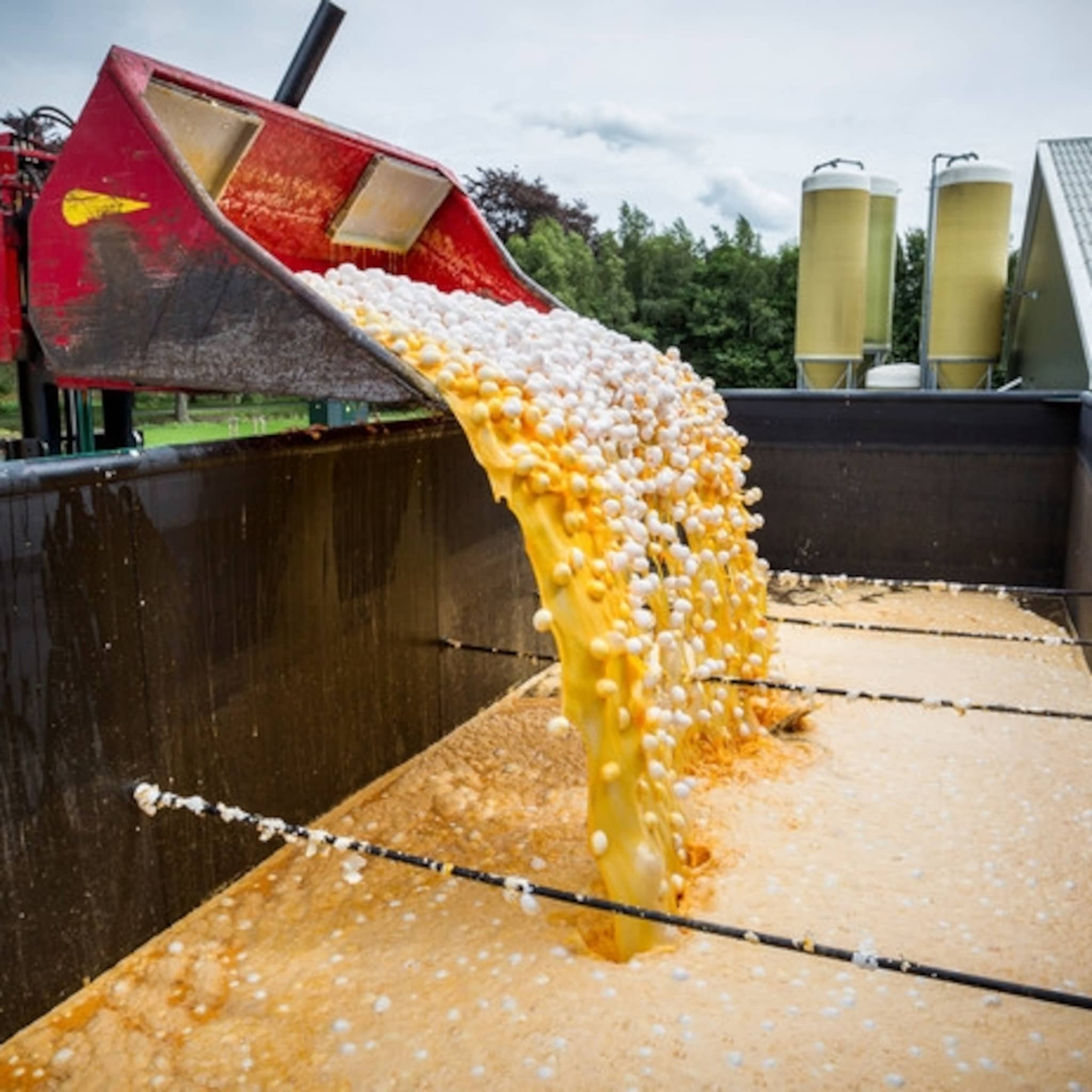 pluimveesector in hoger beroep in fipronilzaak