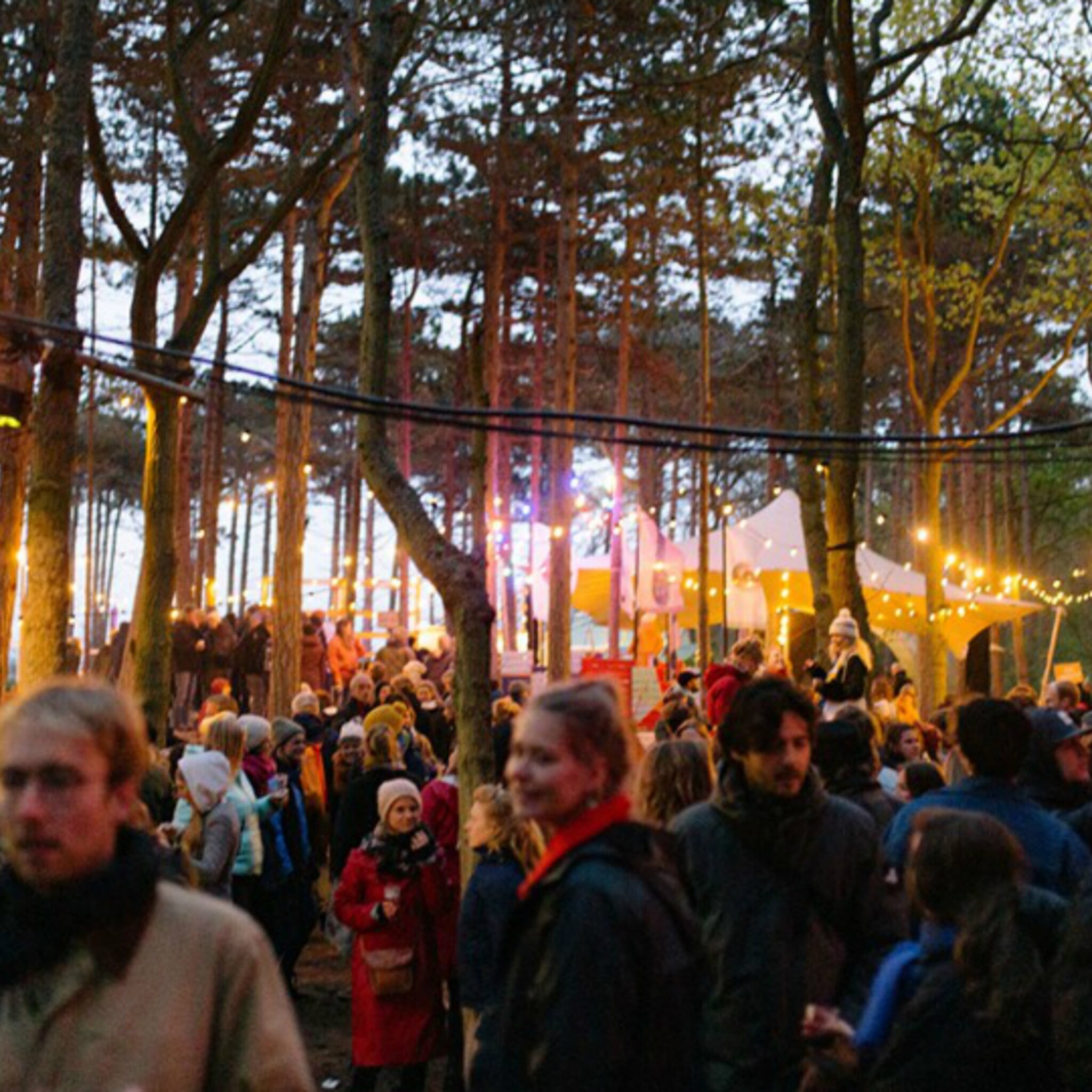 van zwarte cross tot oerol festivalpubliek blijkt goed proefkonijn voor bedrijven