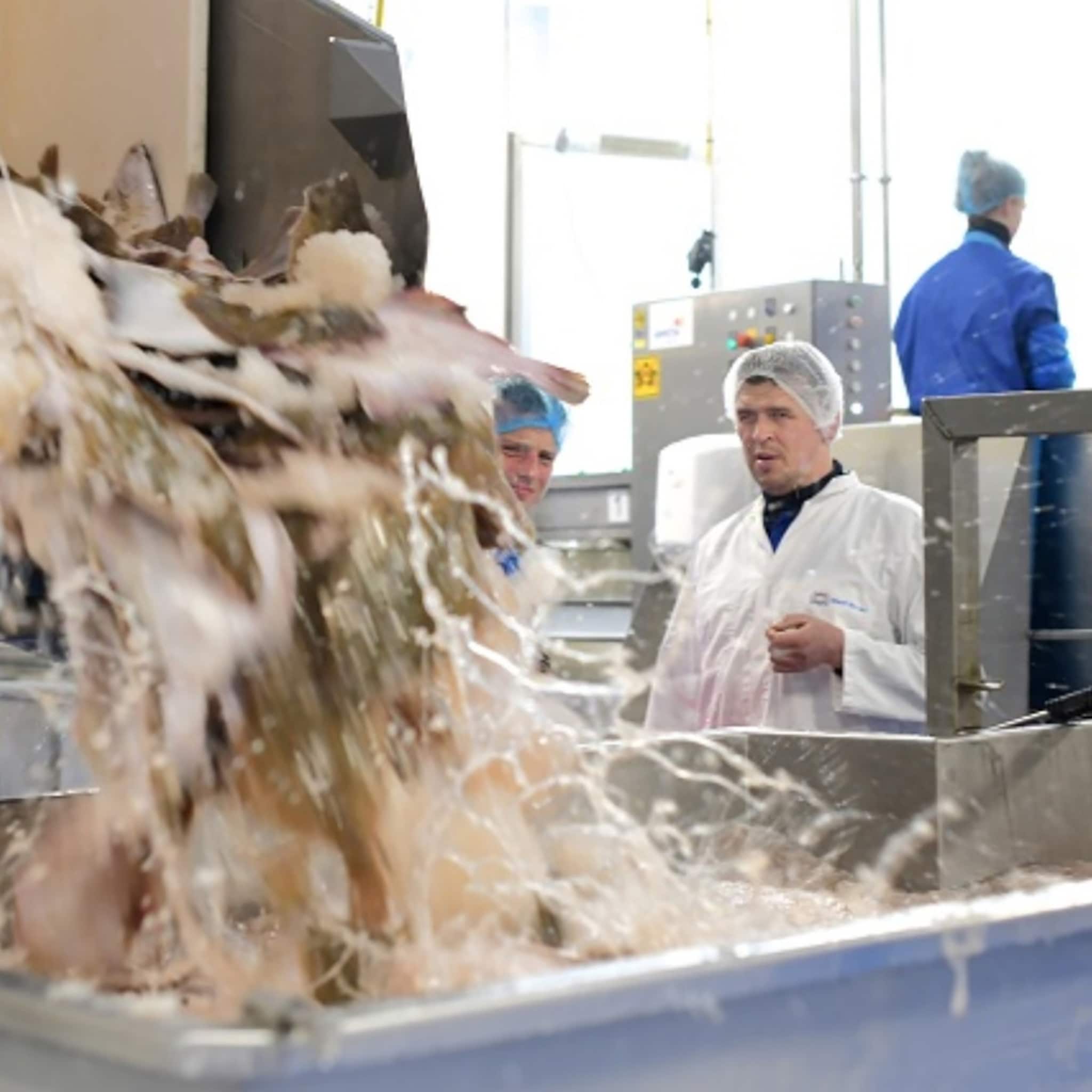urk staat voor innovatie in de visindustrie wij leggen de lat hoog onze klanten waarderen dat