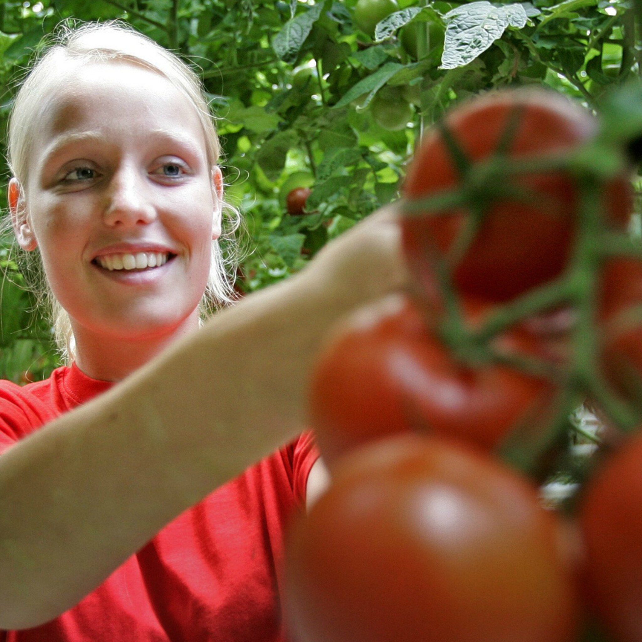 vakantiekrachten steeds moeilijker te vinden tuinders in de problemen