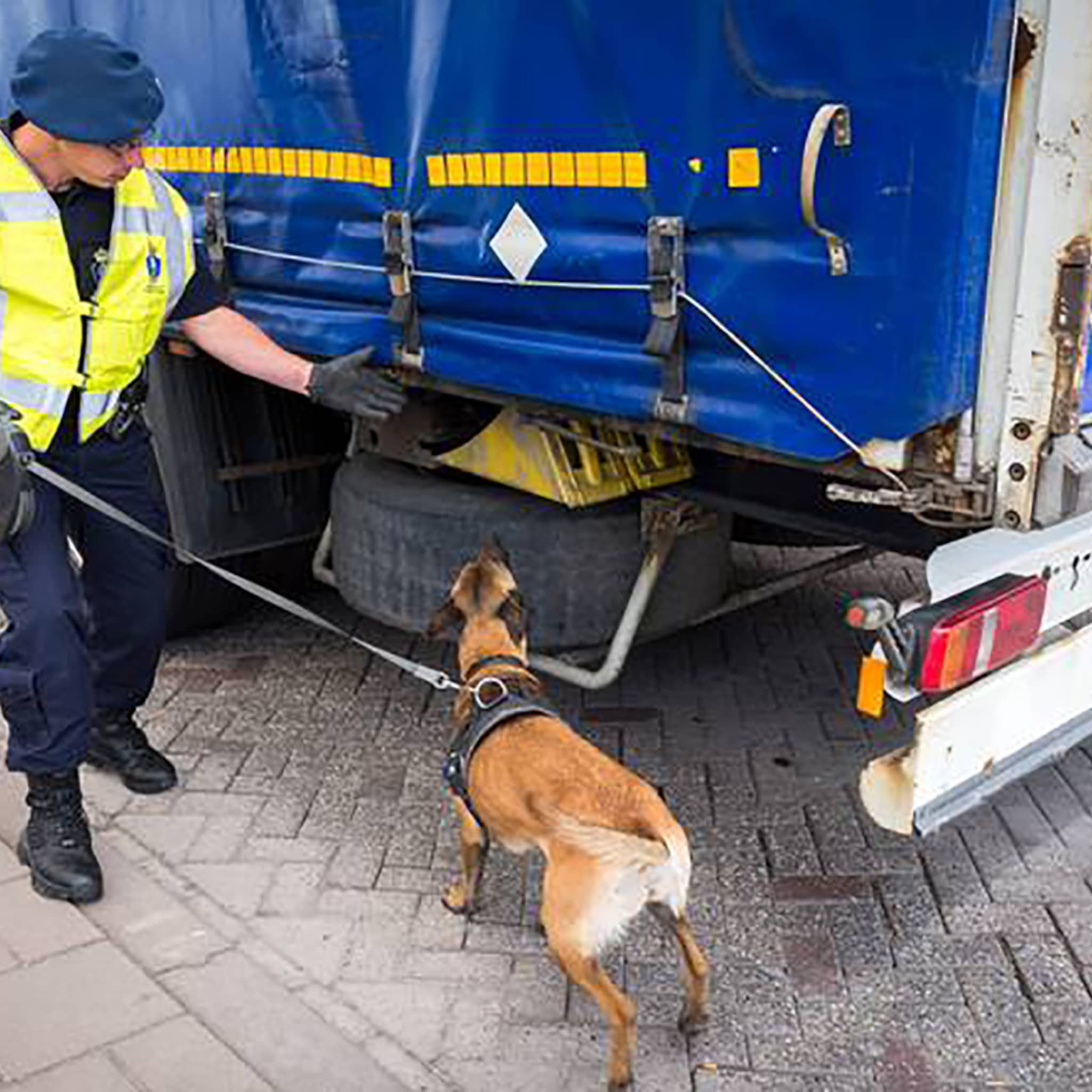 brexit transportbranche vreest problemen met inklimmers