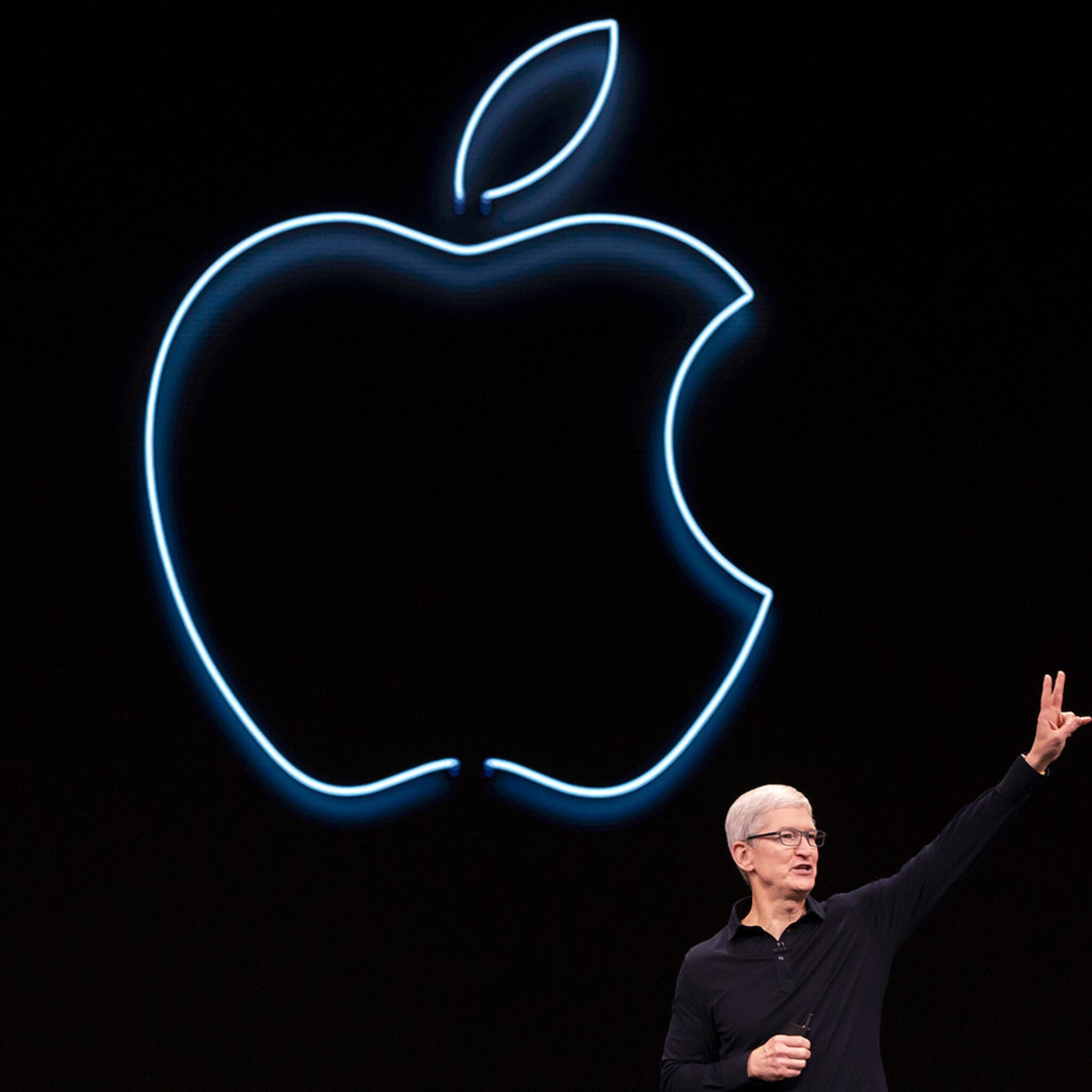 apple pay wat heb je er als ondernemer aan en wat zijn de nadelen