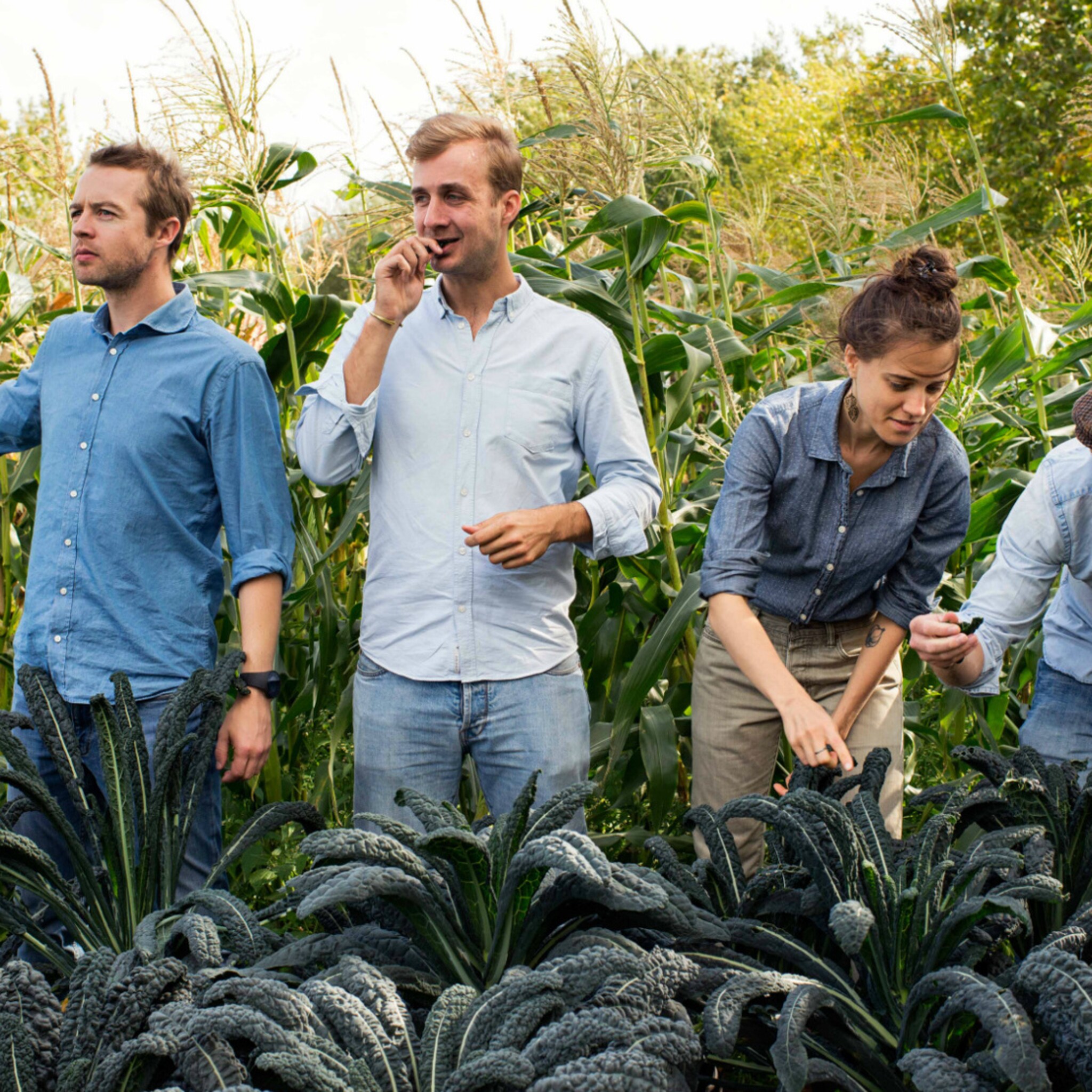 hoe farm brothers via marqt en ah scoort met biologisch