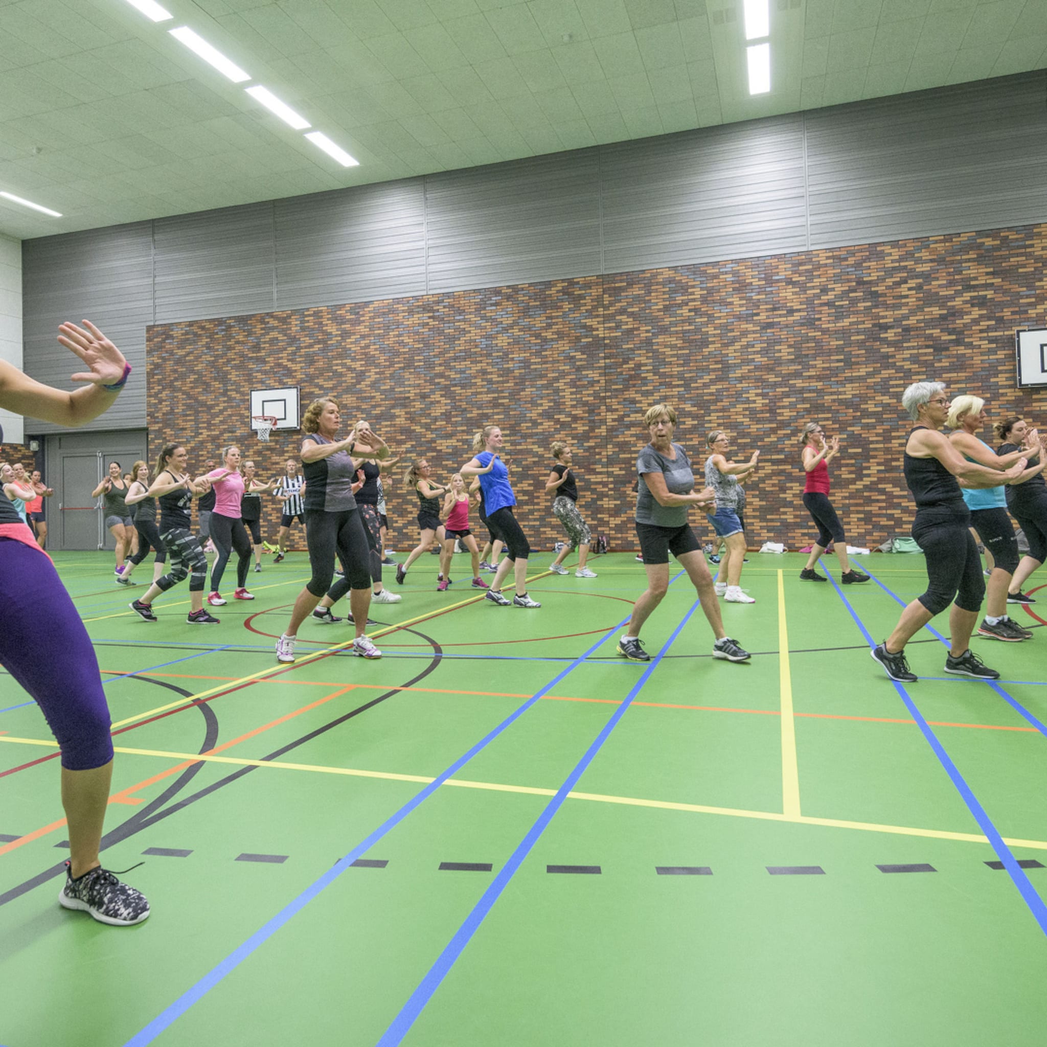 advocaat frans van meer over arbeidsrecht workplace wellness