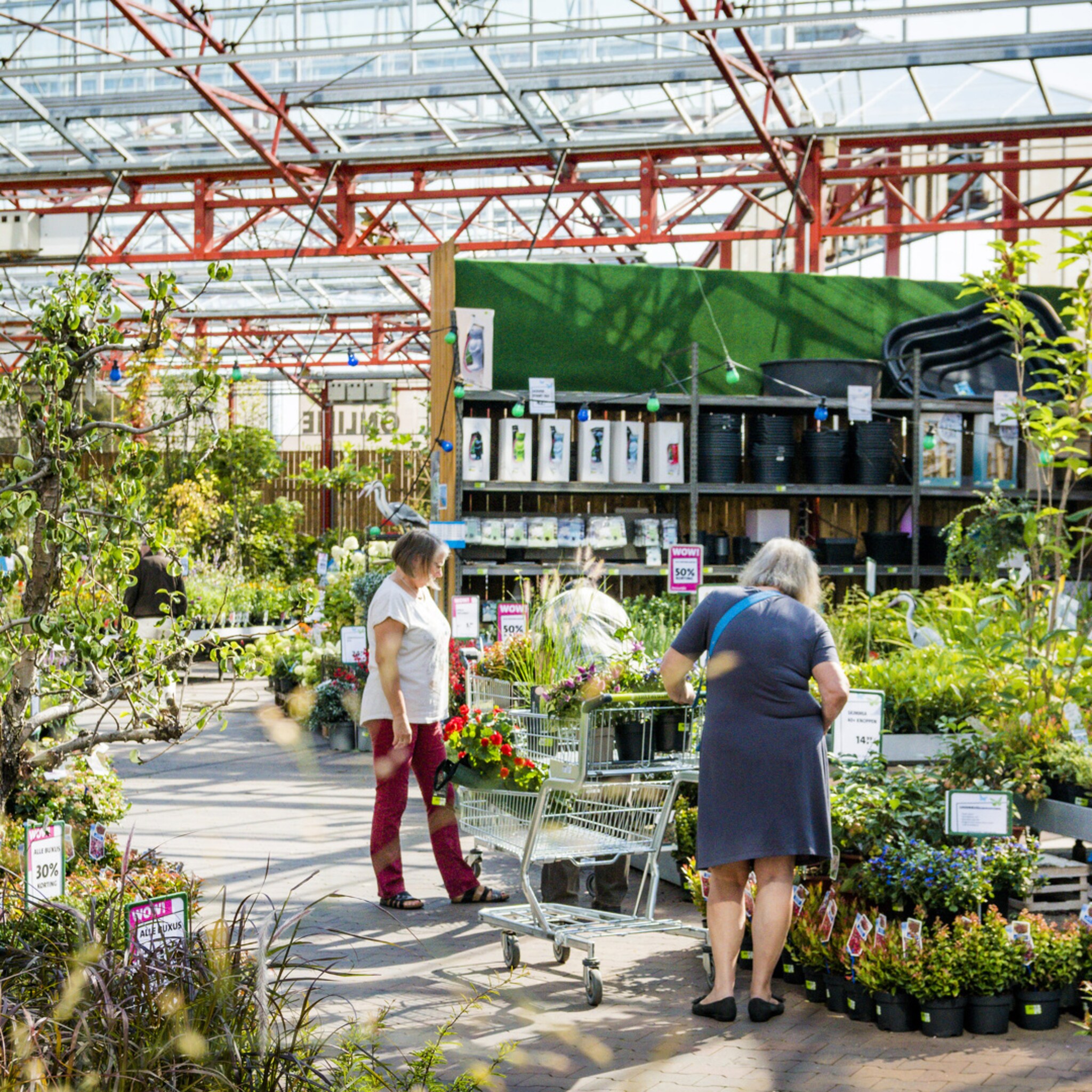 intratuin geeft per ongeluk gratis plantenbakken weg hoe voorkomen ze problemen
