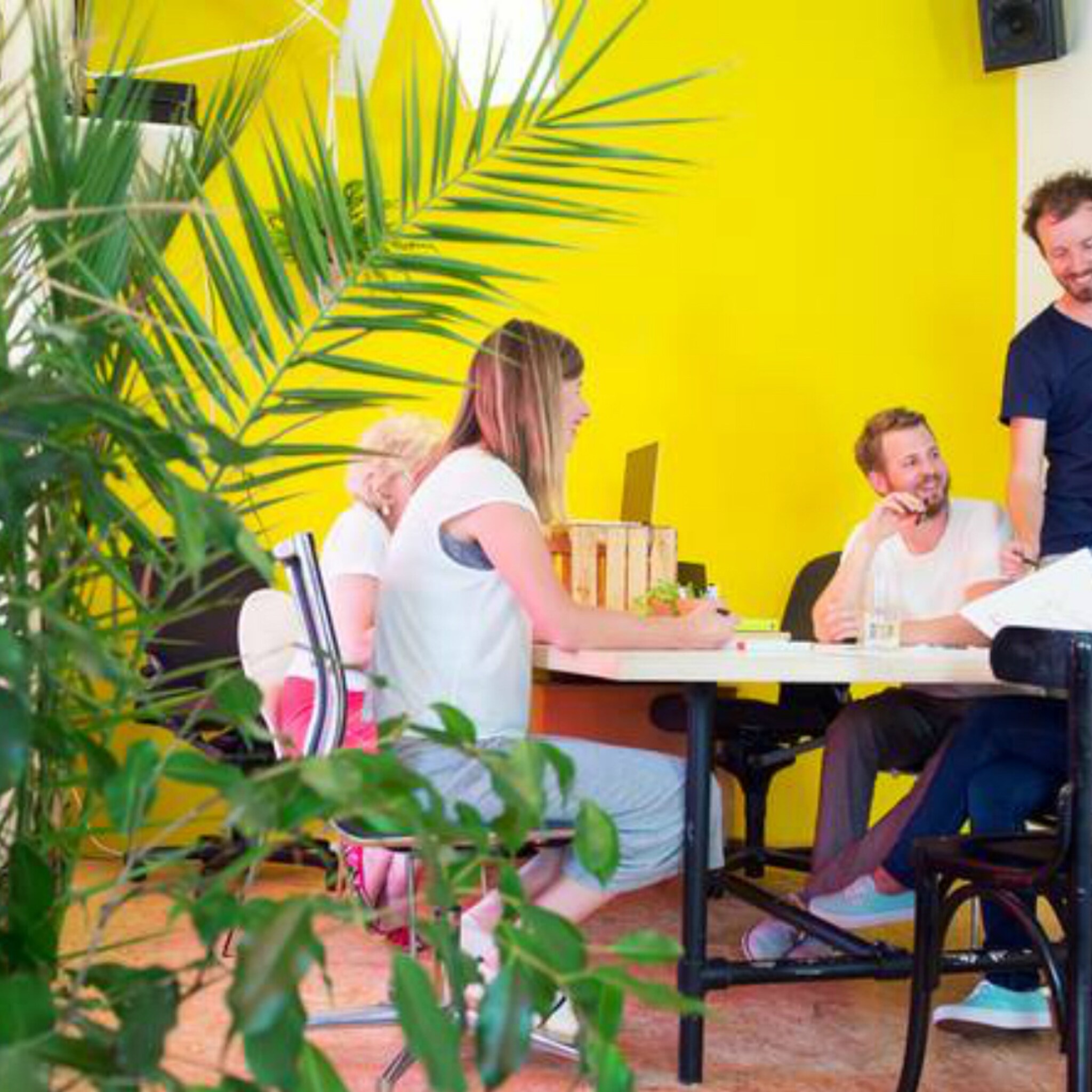 een plant op het werk zorgt voor minder ziekteverzuim en 5 andere voordelen