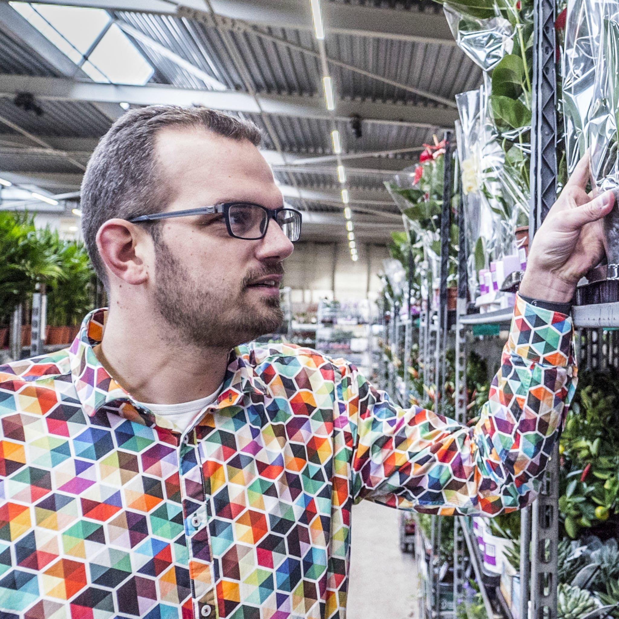 hoe deze plantenexporteur rekening houdt met het ergste brexit scenario
