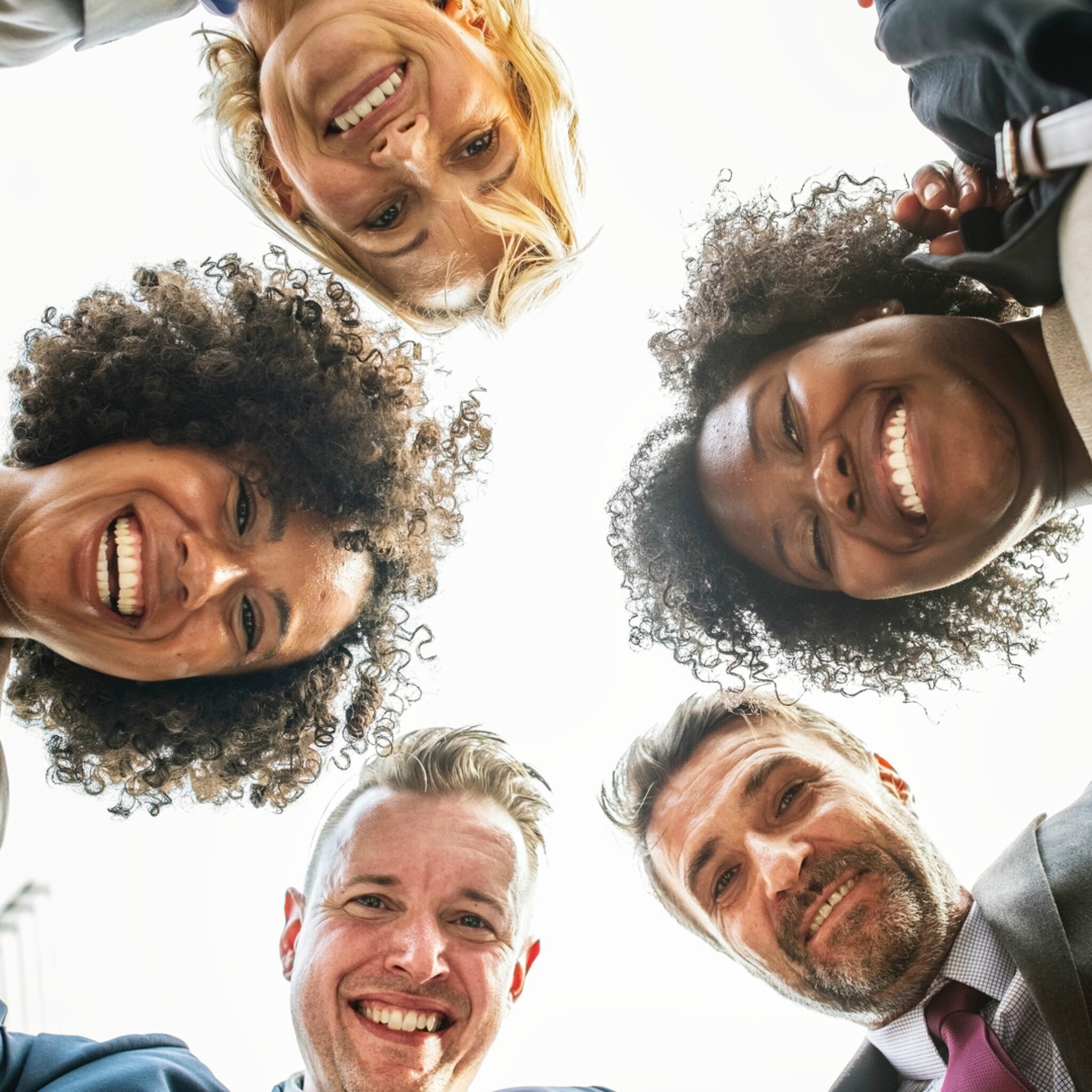 bedrijven floreren door diversiteit in het team