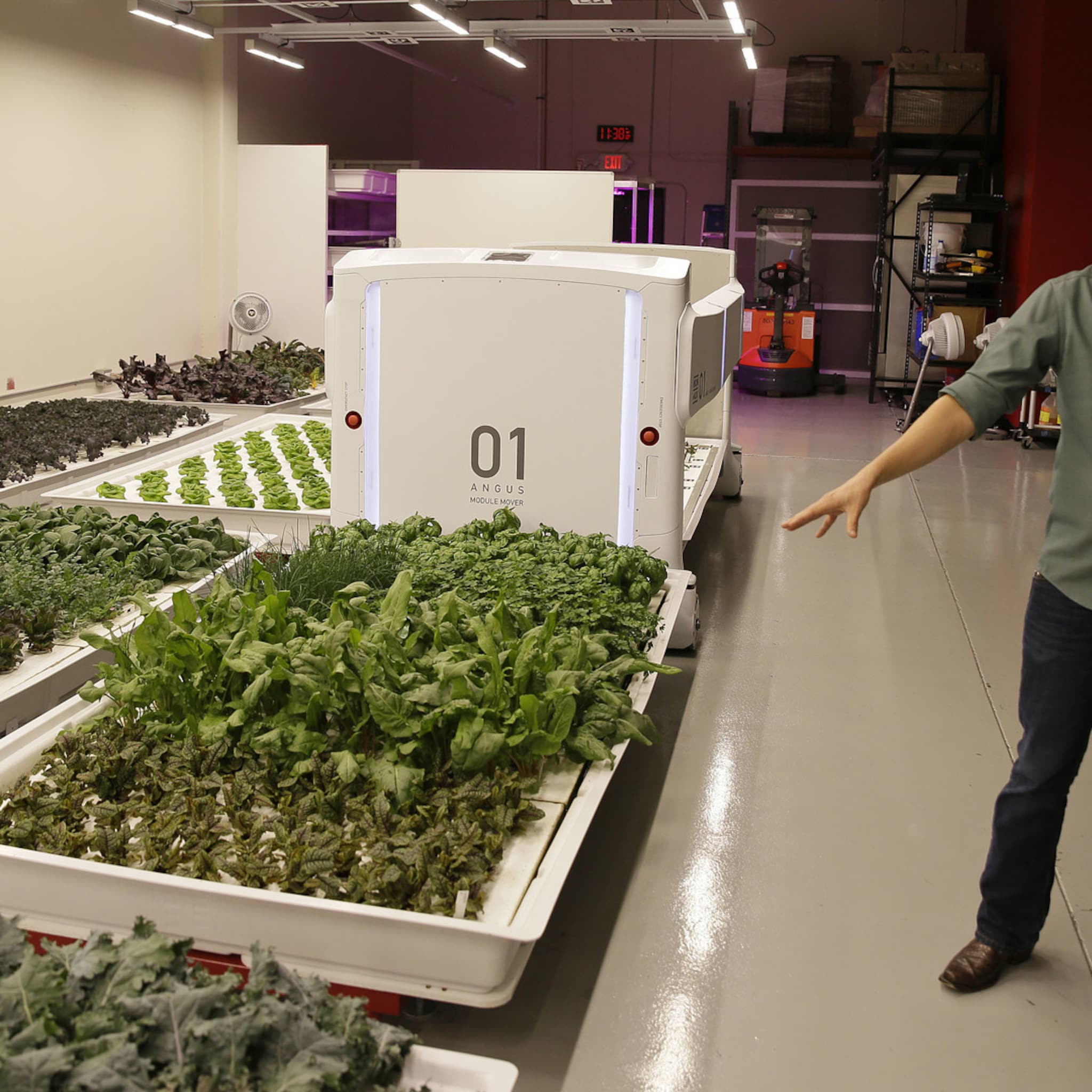 in deze start up oogsten robots alle groenten
