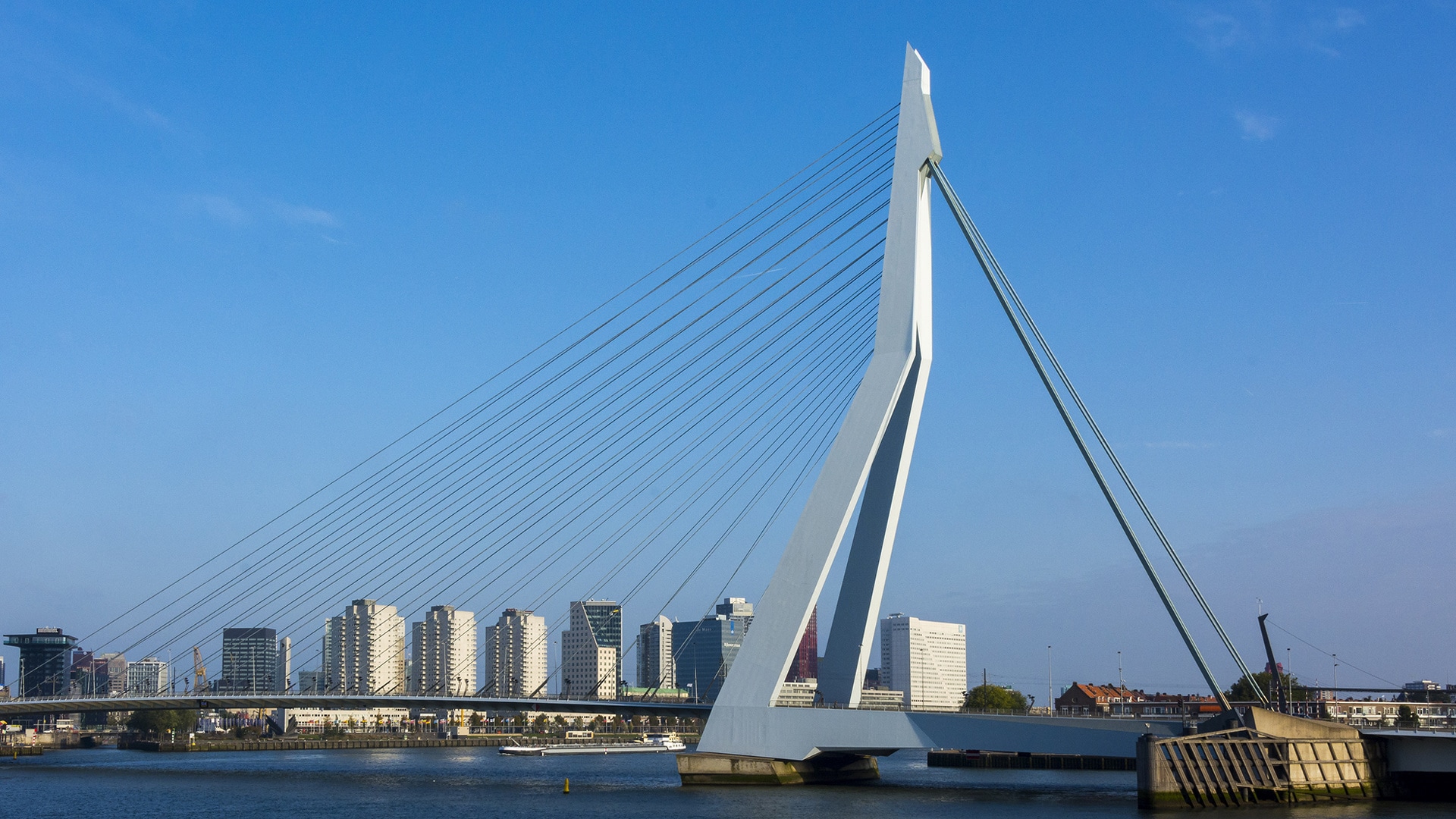 beeld deondernemer