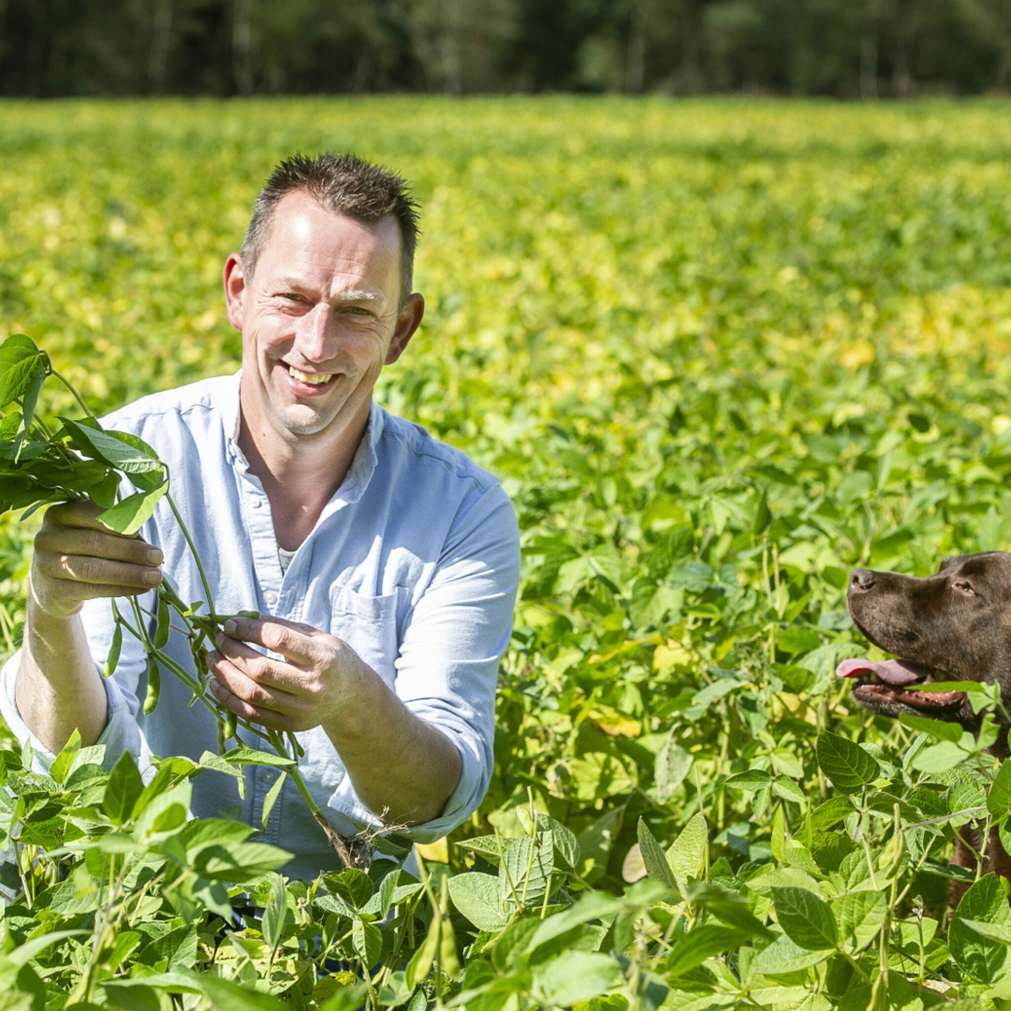 waarom deze nederlandse boer nu ook sojabonen teelt