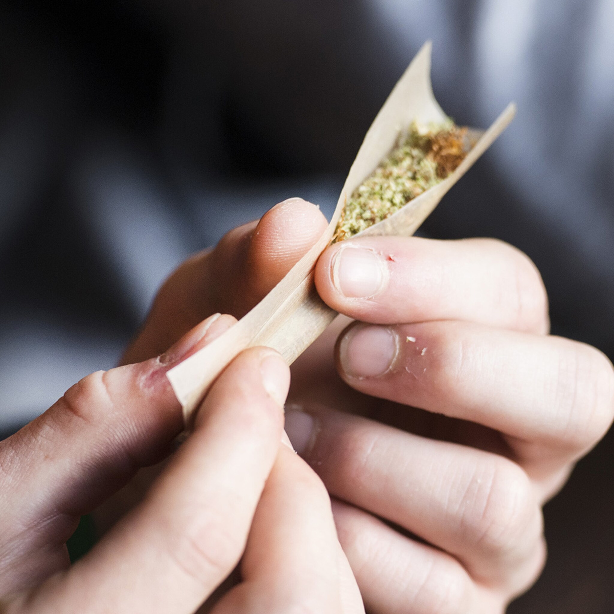 zo word je miljonair met een coffeeshop