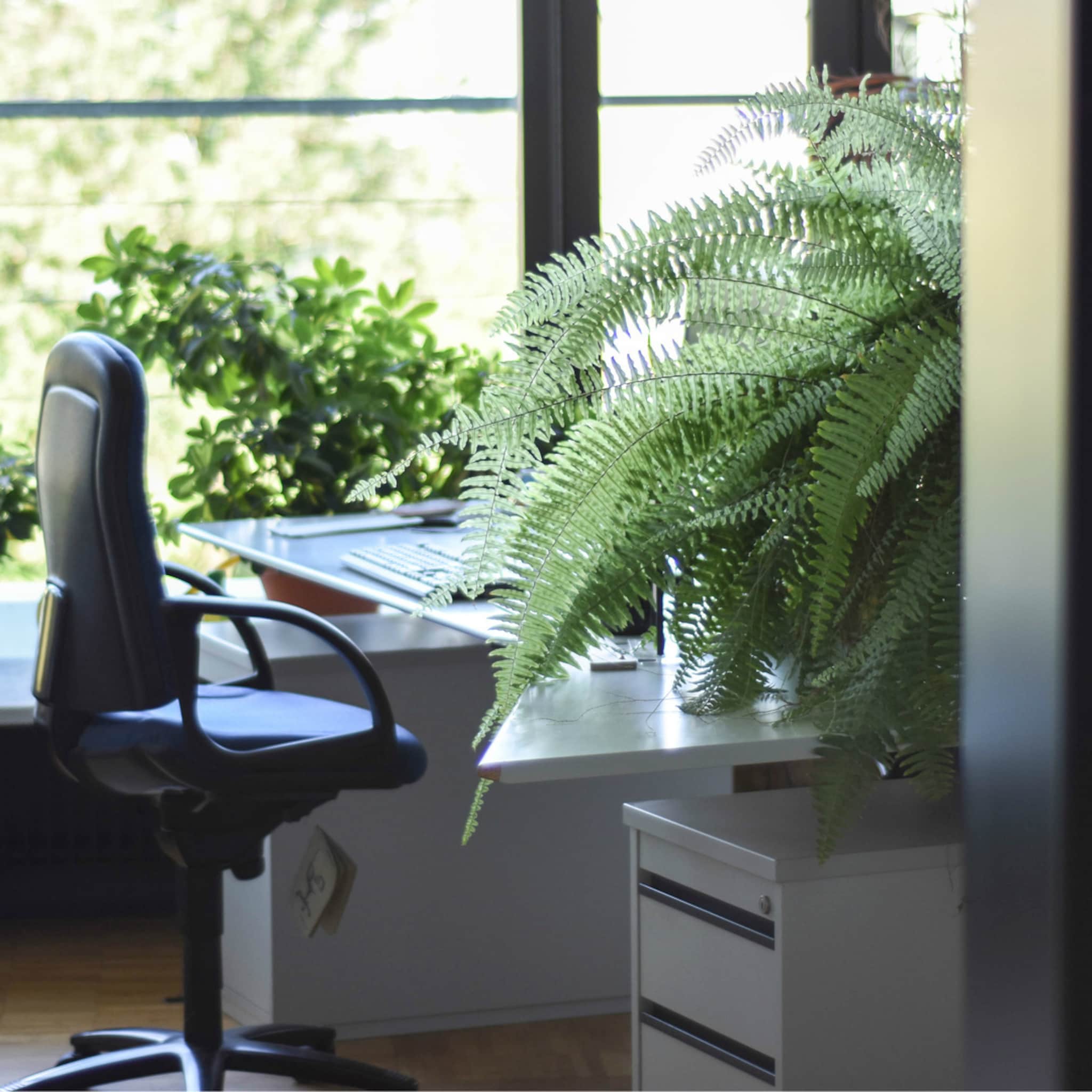 dit zijn de voordelen van een net en schoon kantoor