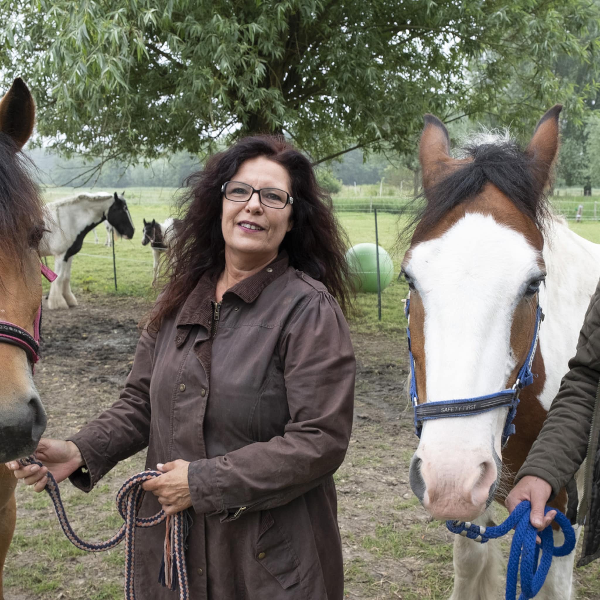 hoe deze zeeuwse ruitersportzaak en manege elkaar versterken