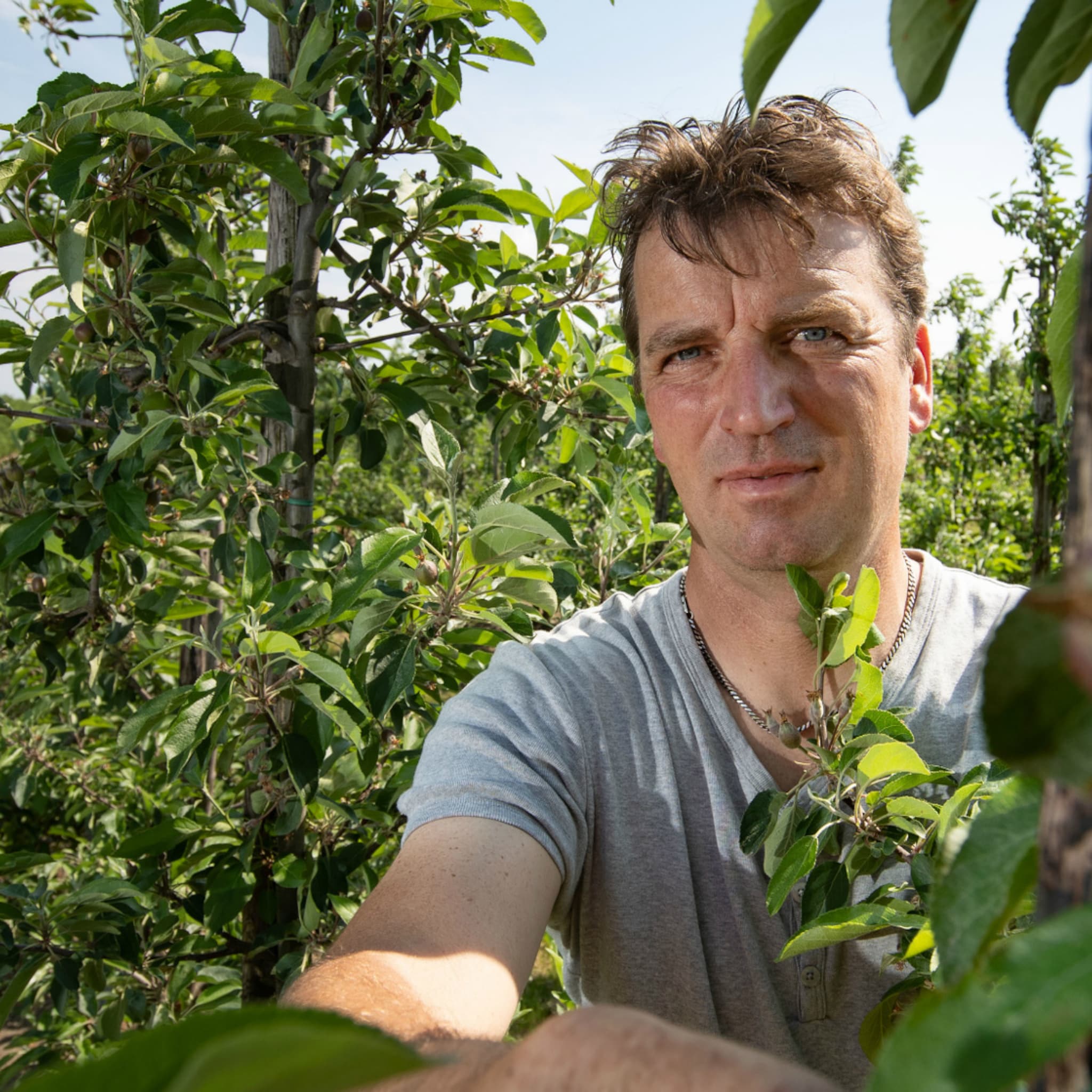 hoe het grote succes van de elstar begon