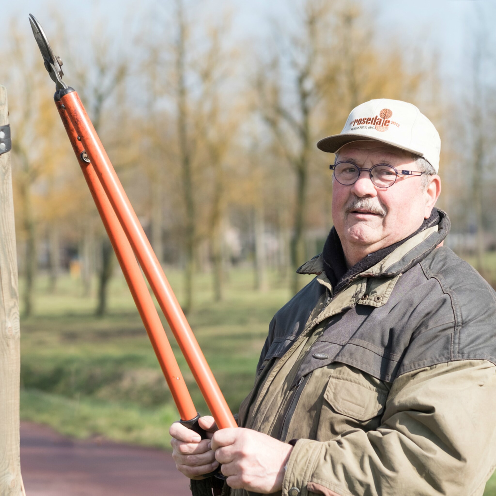 zo blijft familiebedrijf van den berk kwekerijen de concurrentie voor