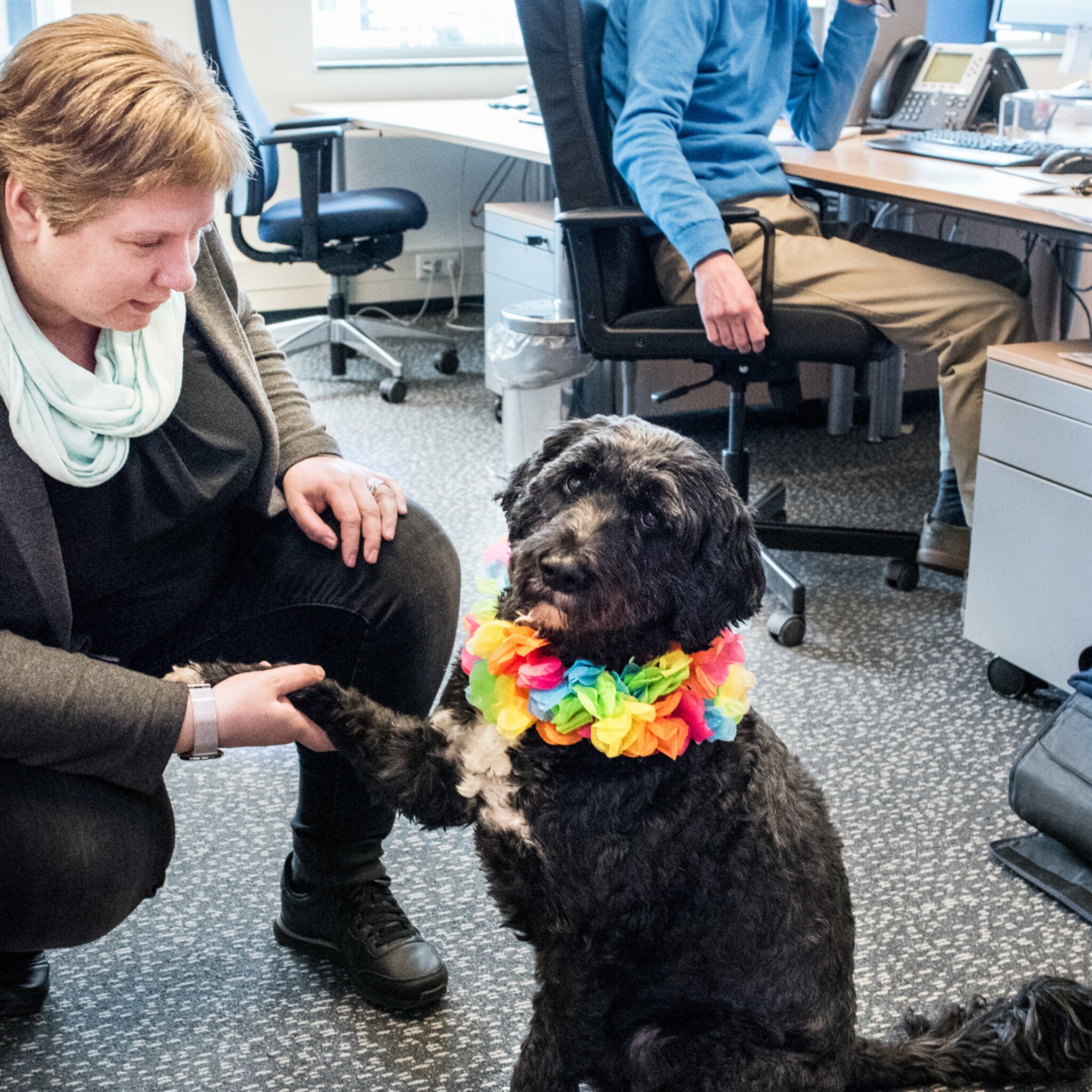 dit is waarom je een hond als personeelslid moet hebben