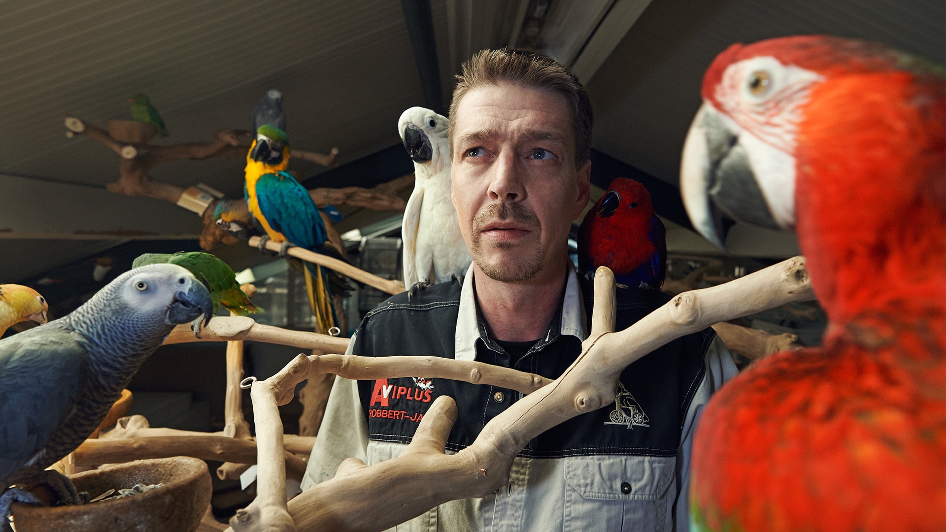 beeld deondernemer