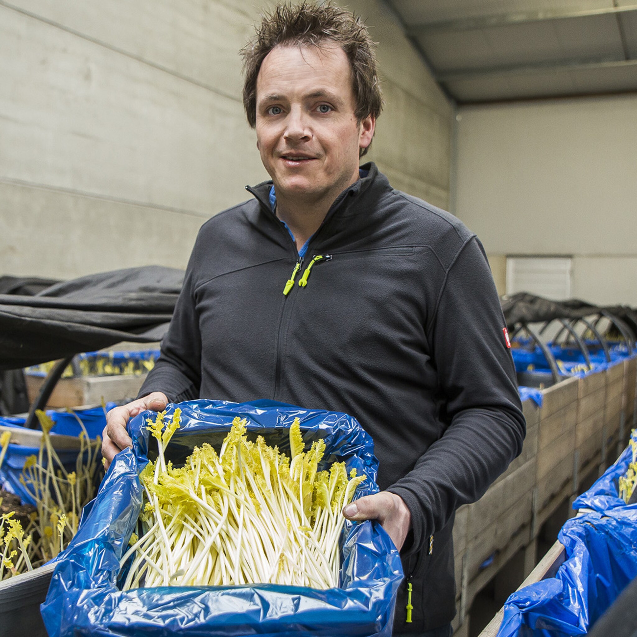 zeeuwse boeren pakken hun kansen met succes