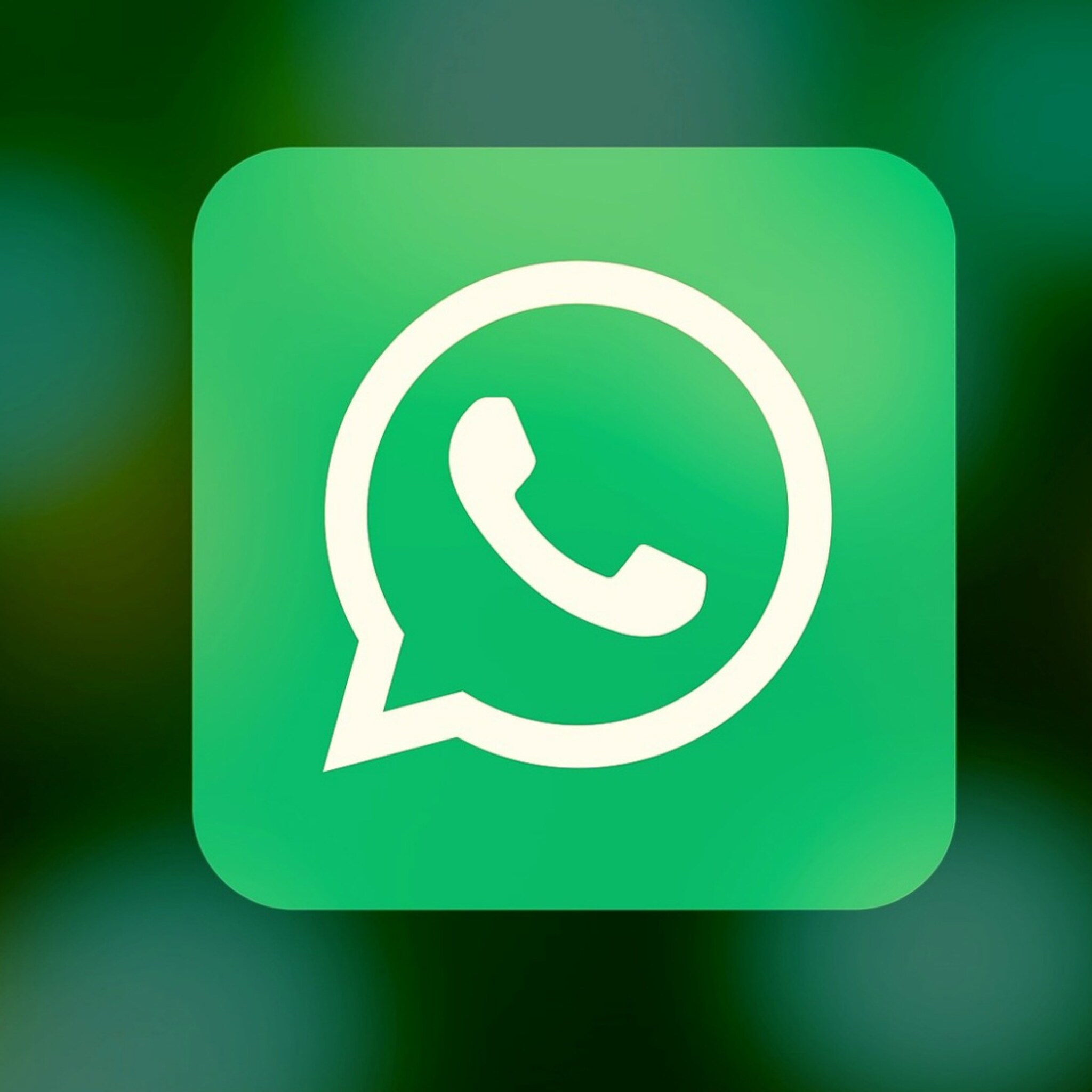 hoe werkt whatsapp business