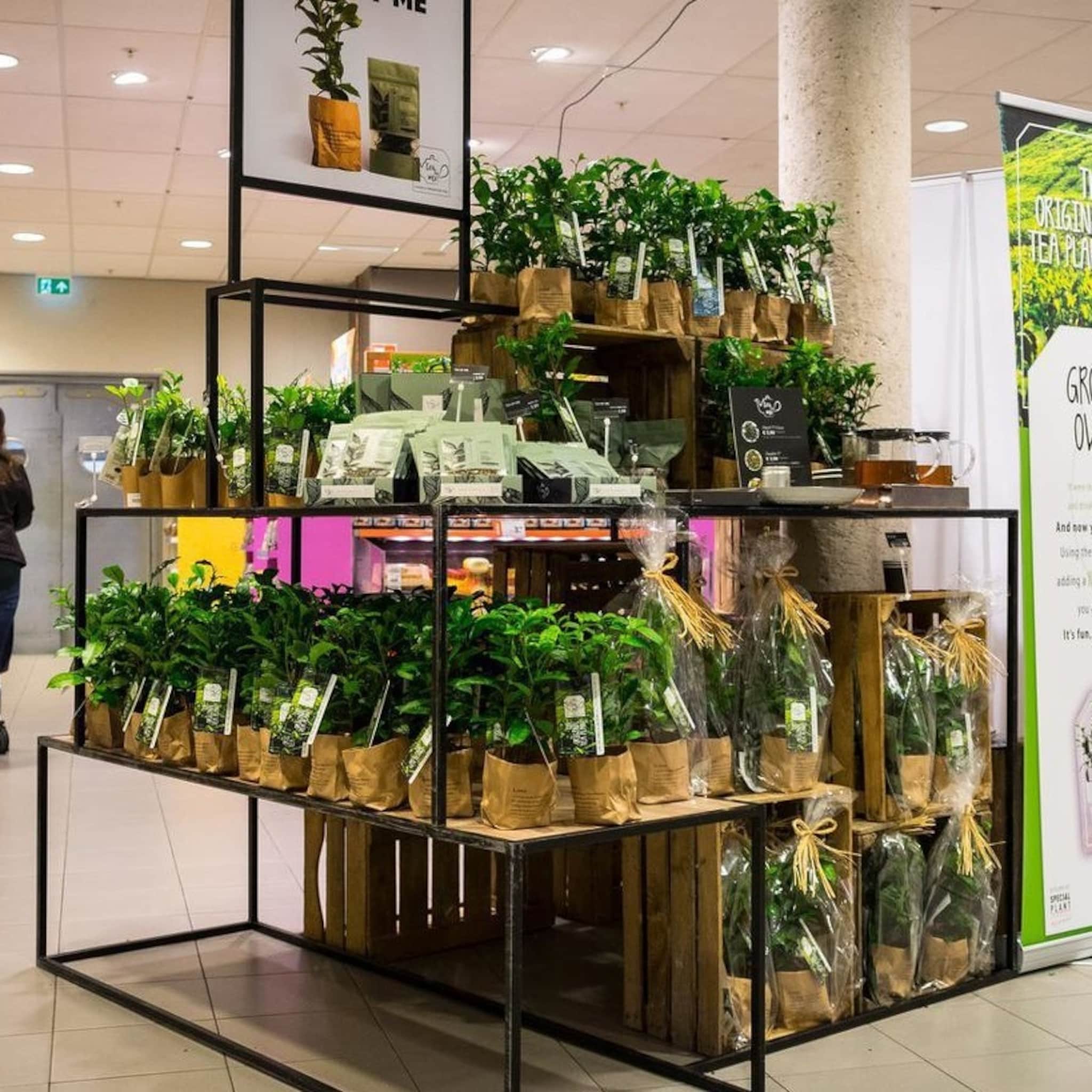 albert heijn laat startups toe op winkelvloer